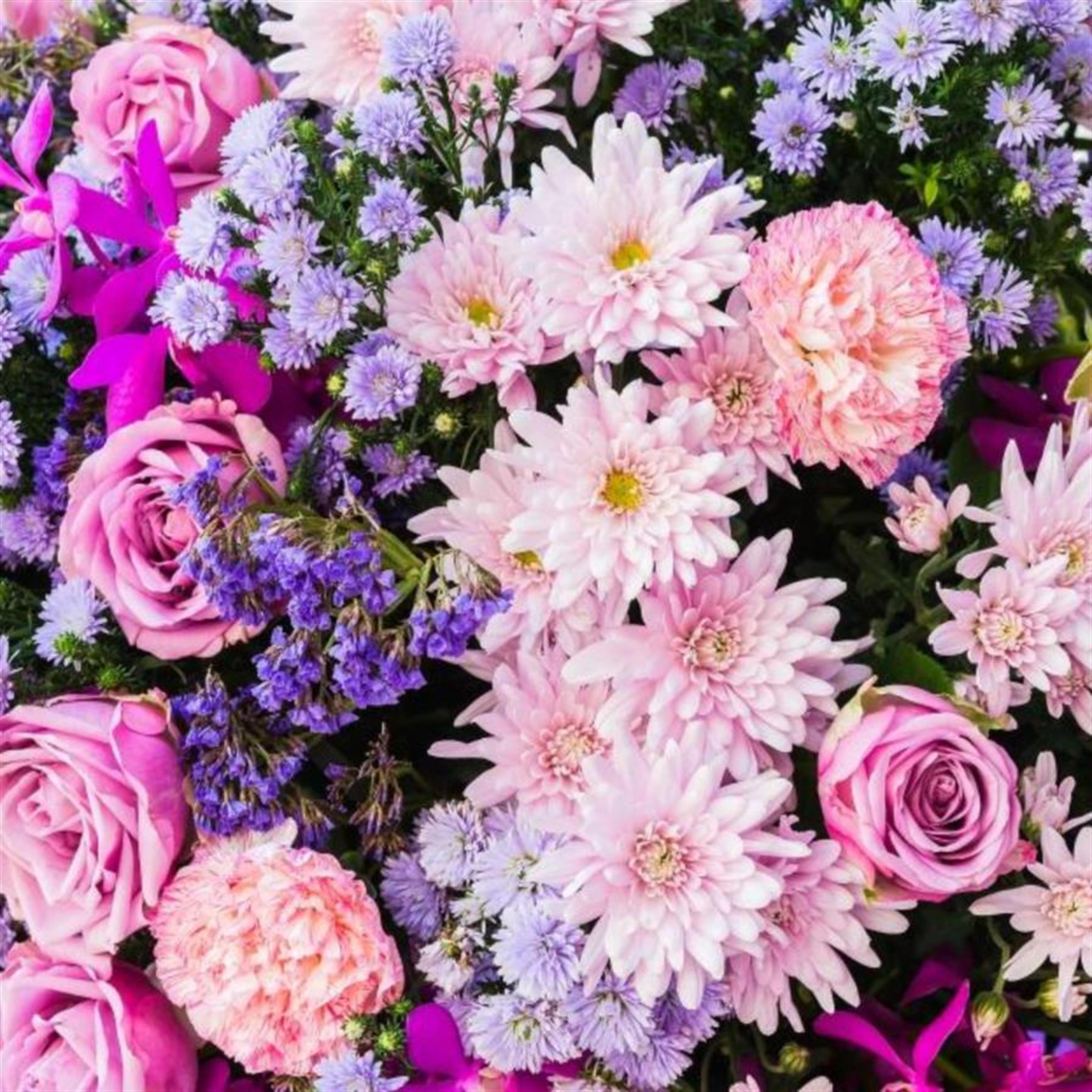 Diana R Ferree's obituary picture