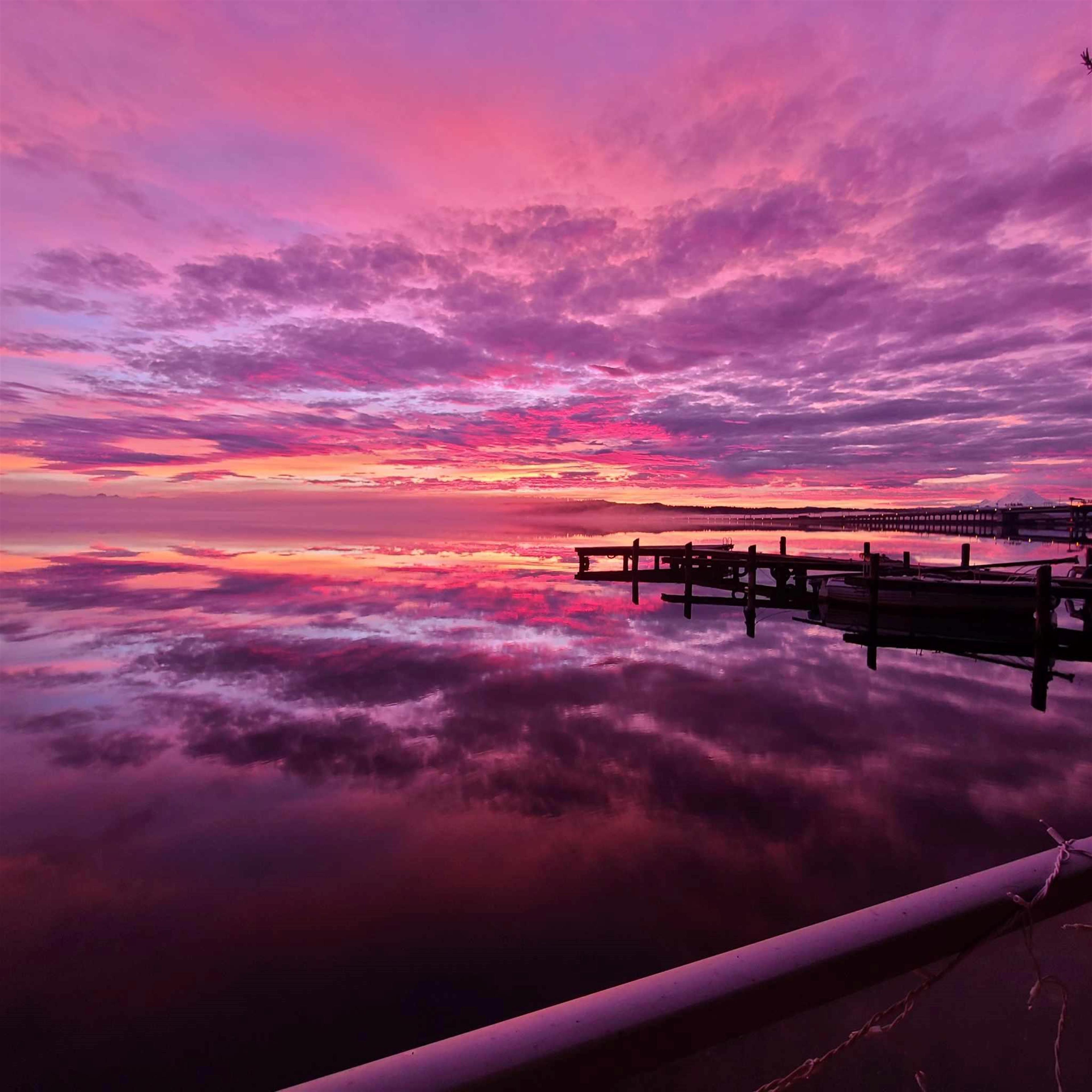 Marisha Price's obituary picture