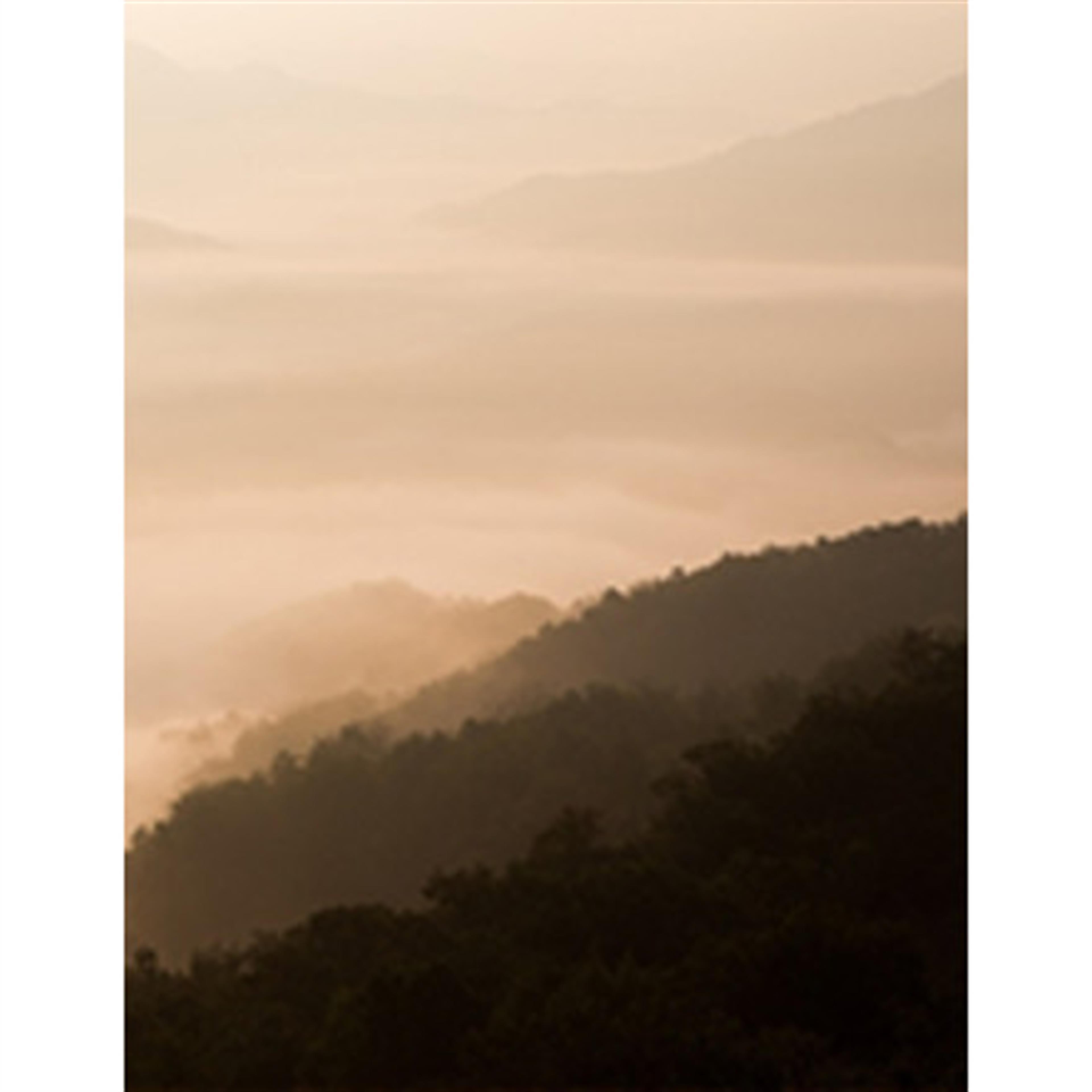 Shannon W. Johnston's obituary picture