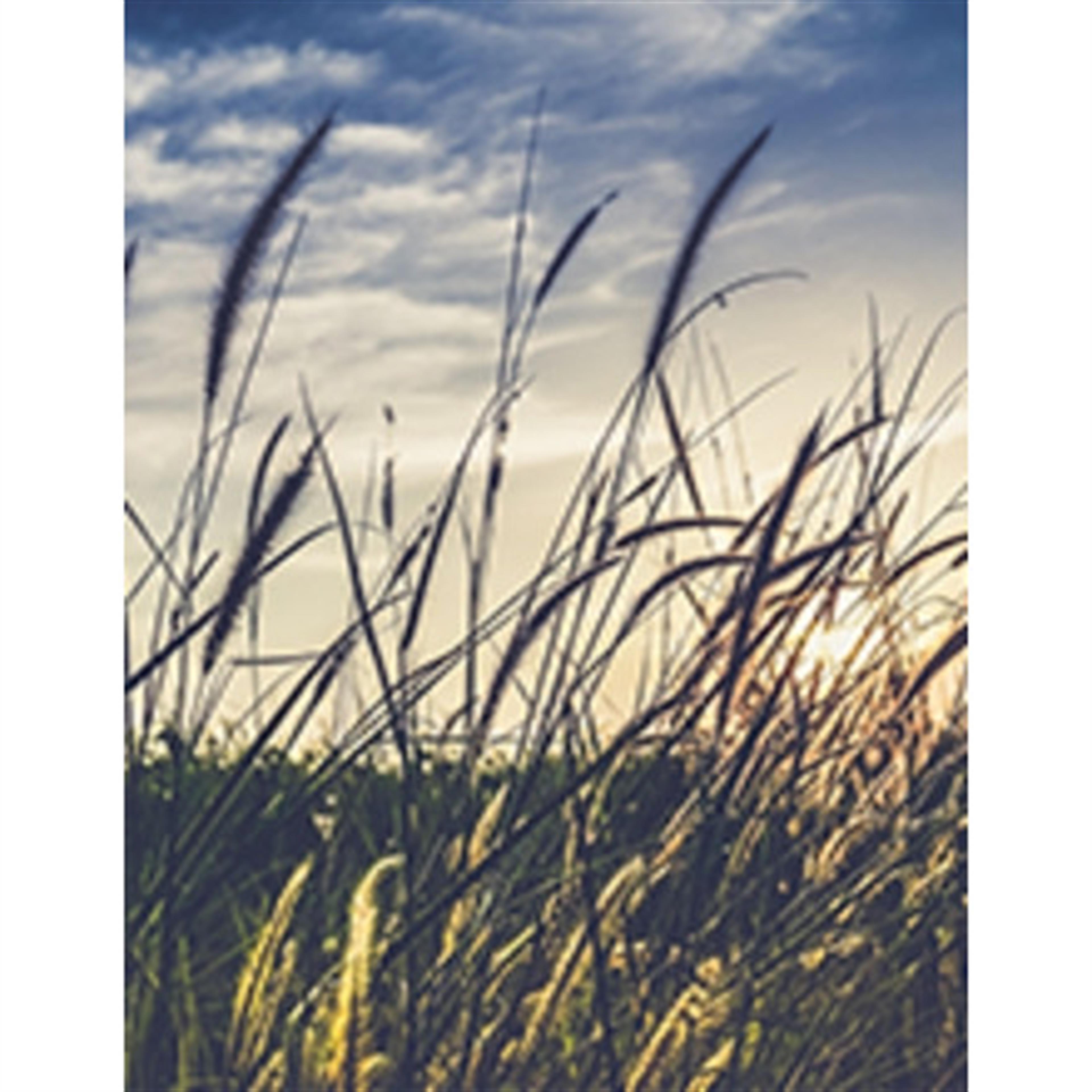 Leon Charles White's obituary picture