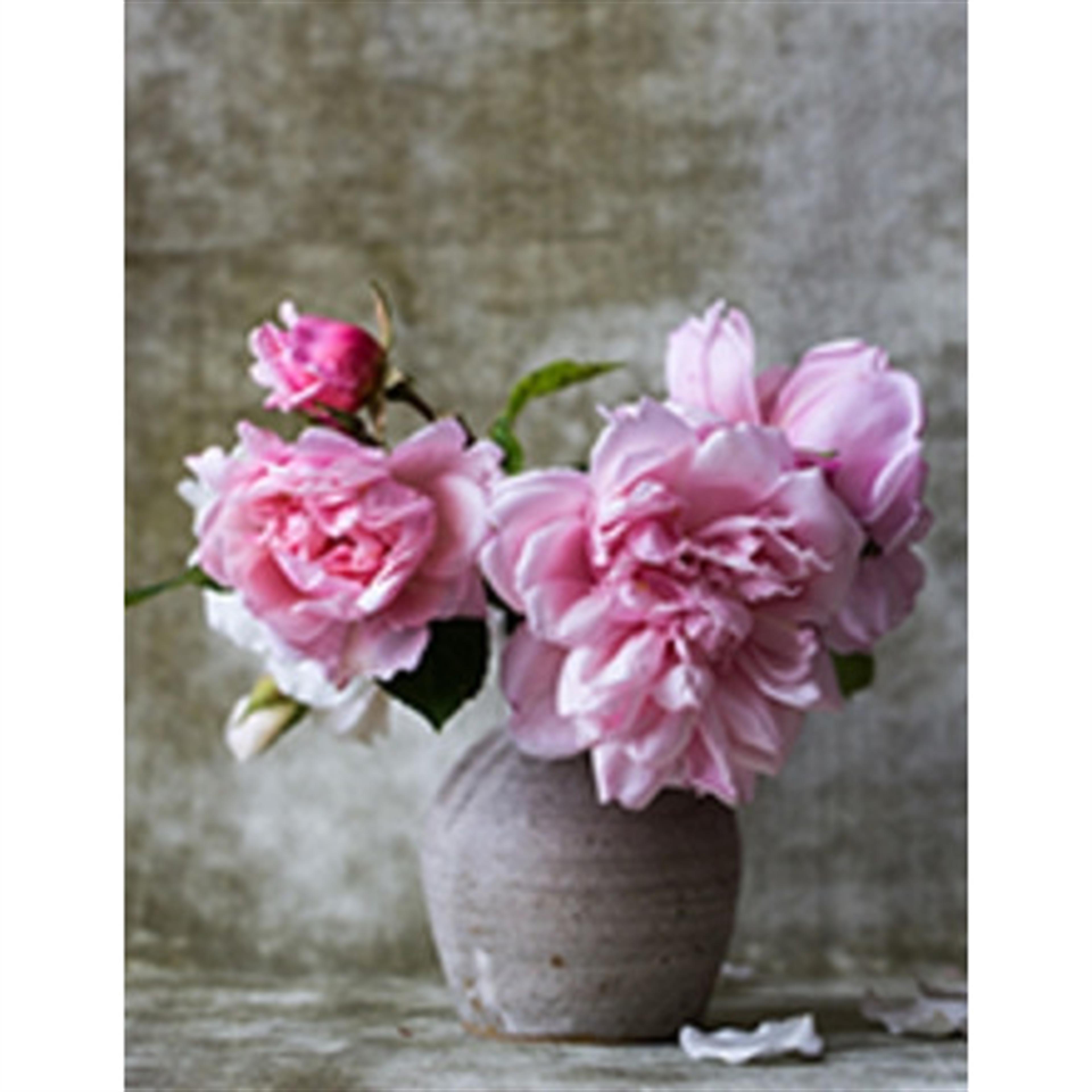 Nettie Delaney Williams' obituary picture