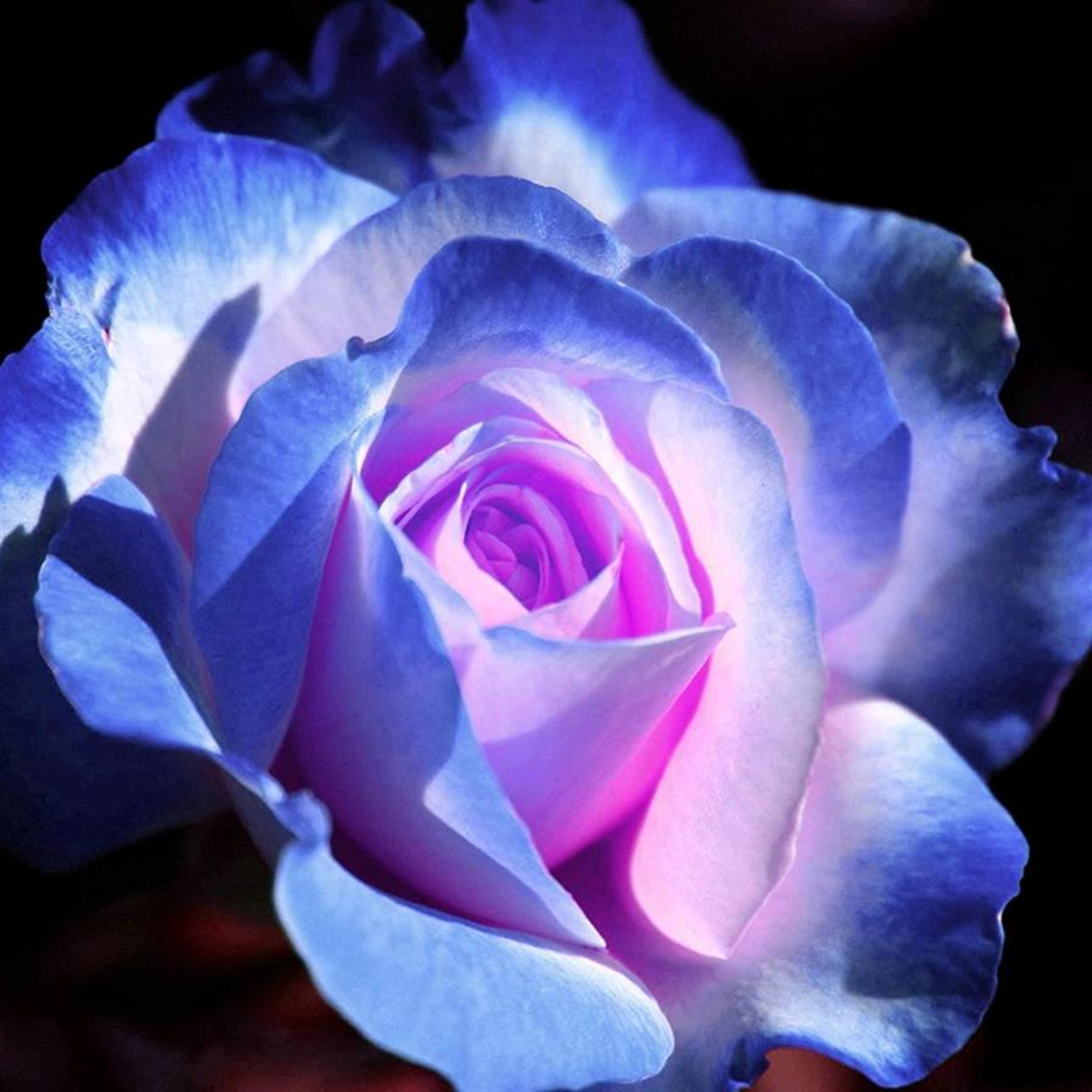 Walters, Deena Lynne