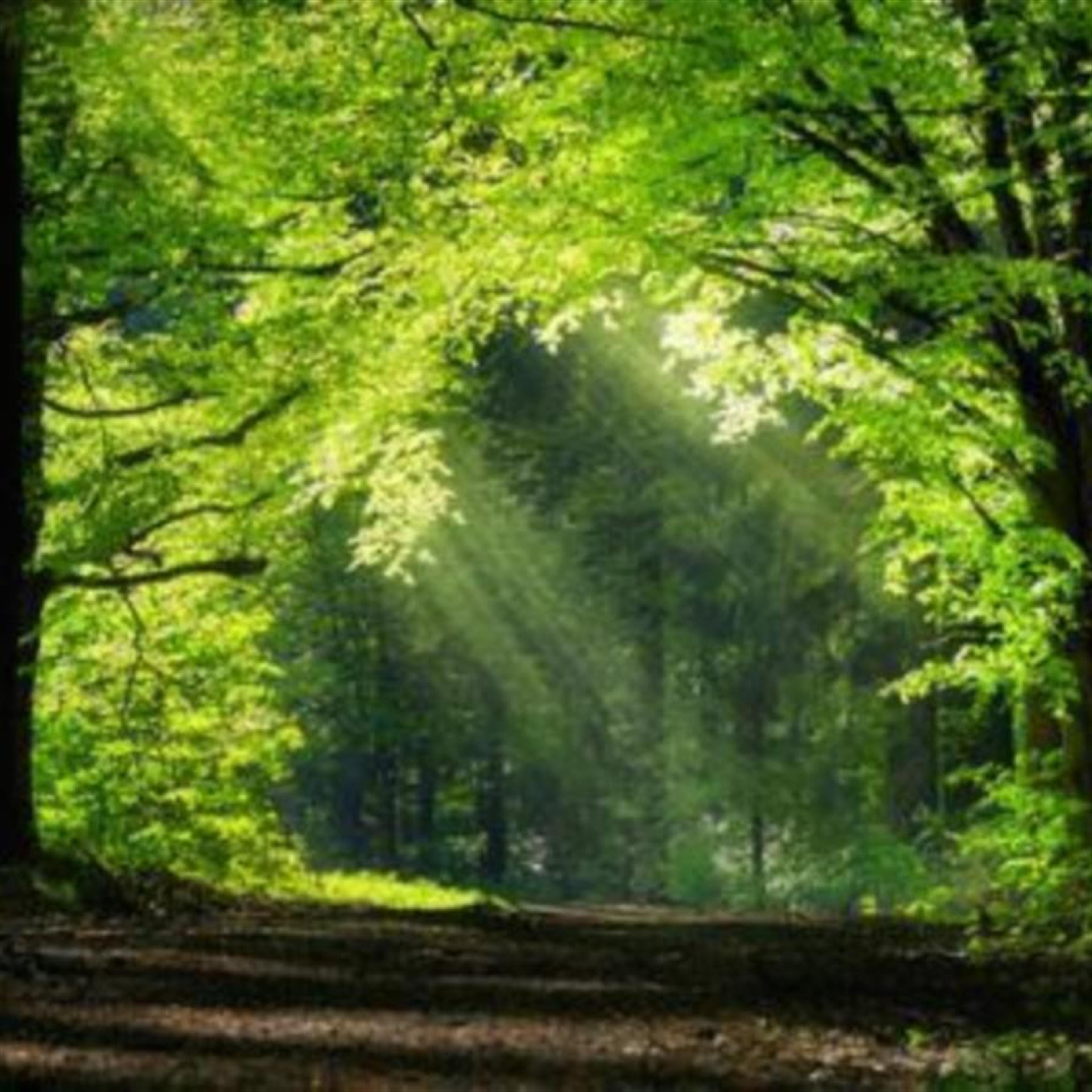 Robert Mischler's obituary picture