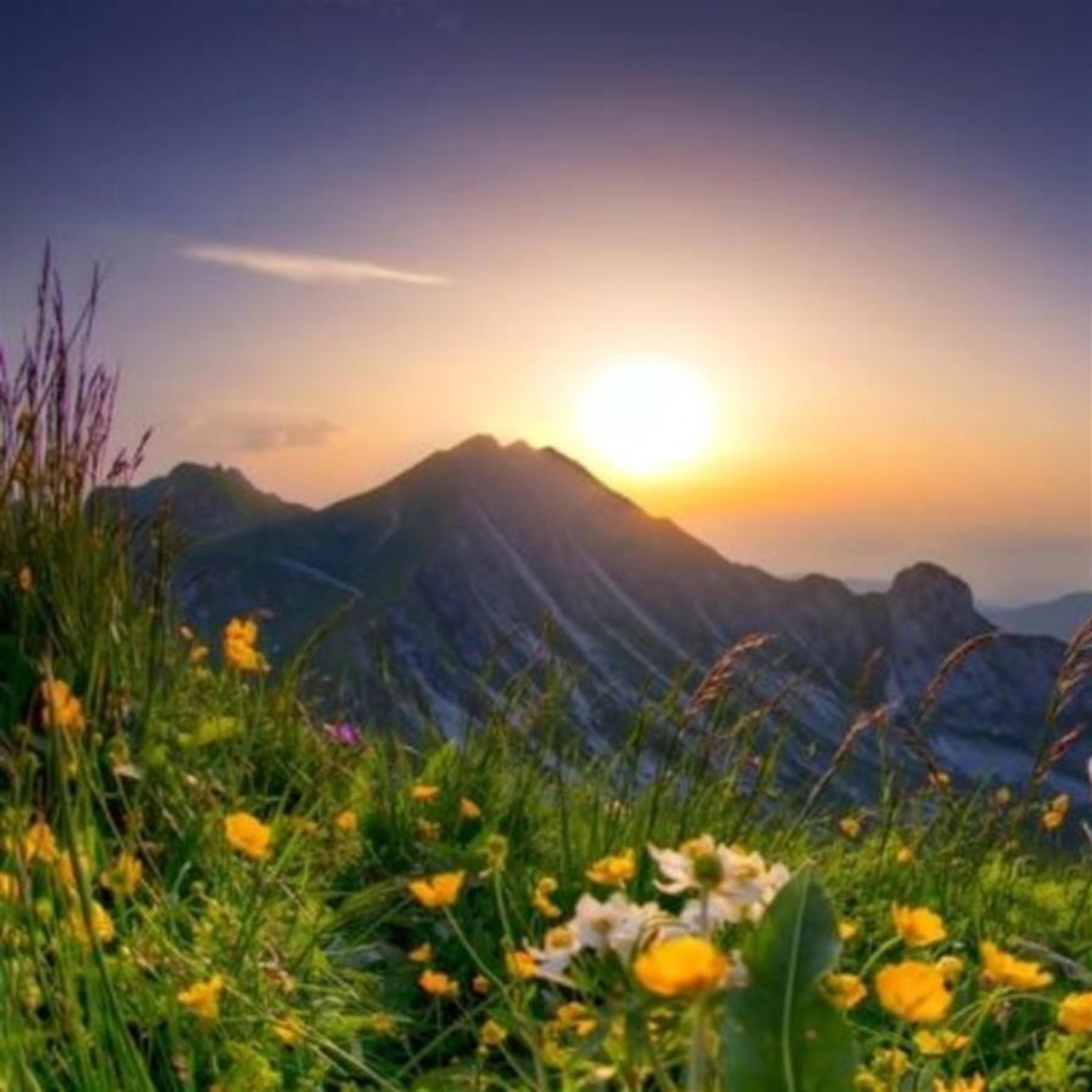 Mary Blanche Patterson