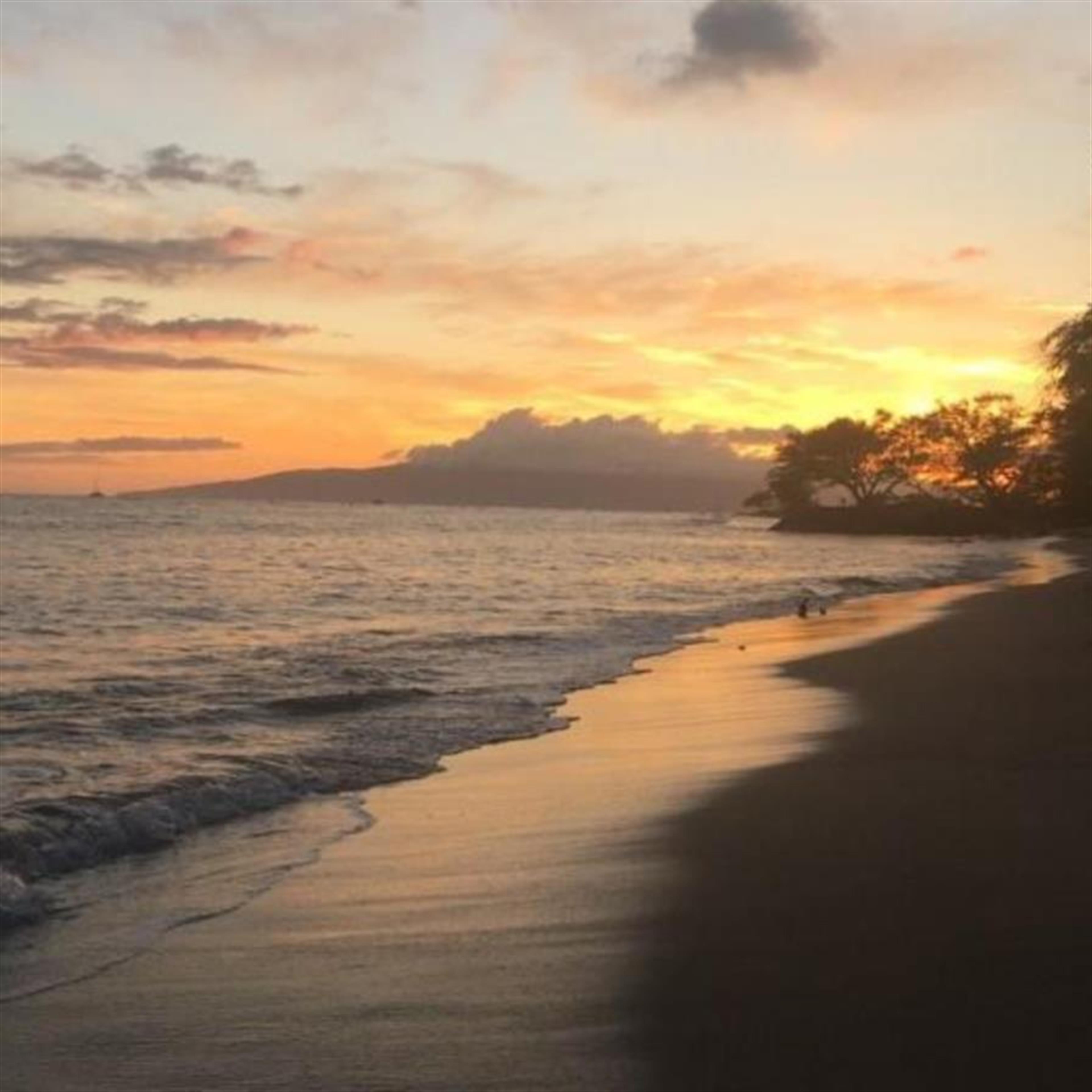 Joseph "JoJo" Ysabel Nims