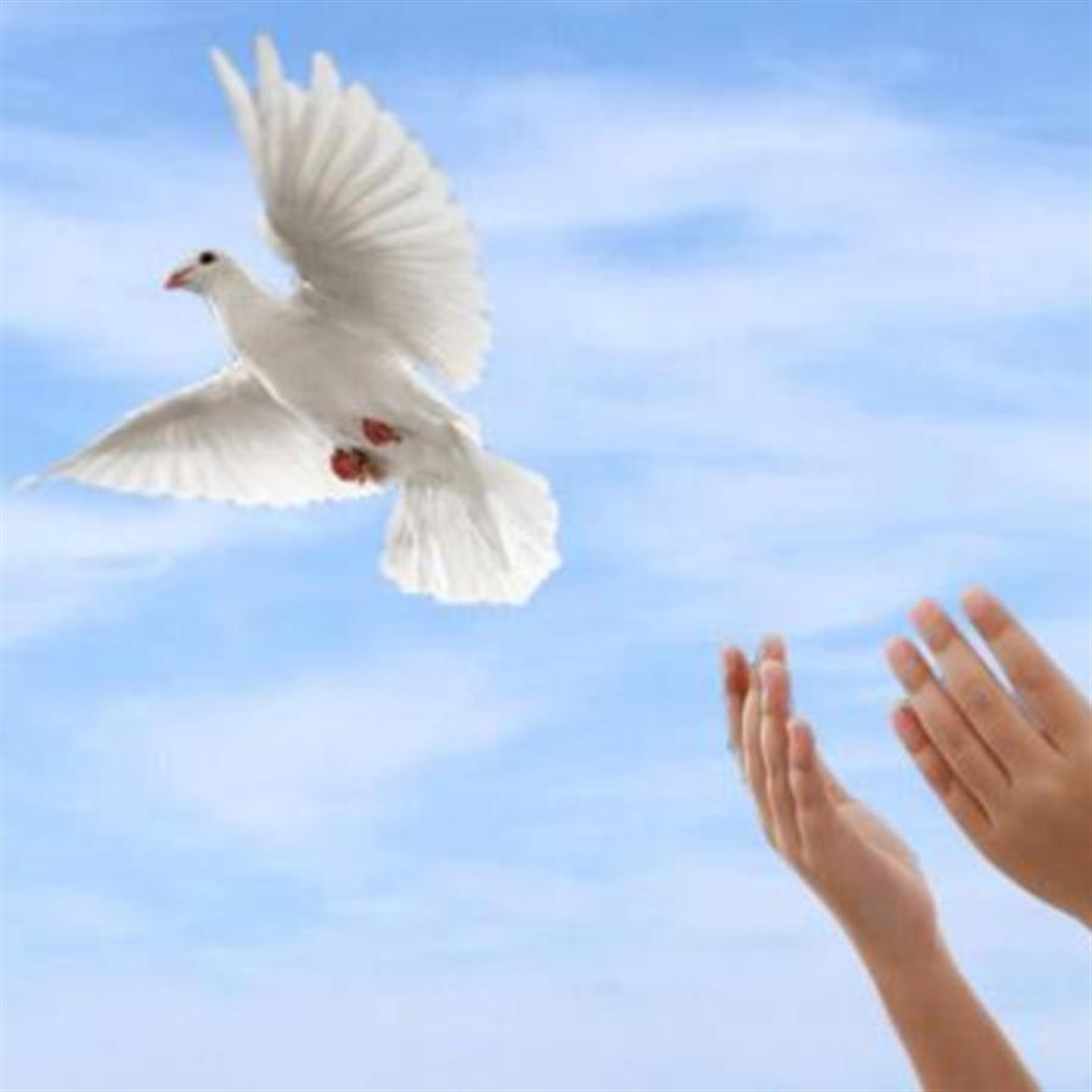 Baby Esquerra-Chavez