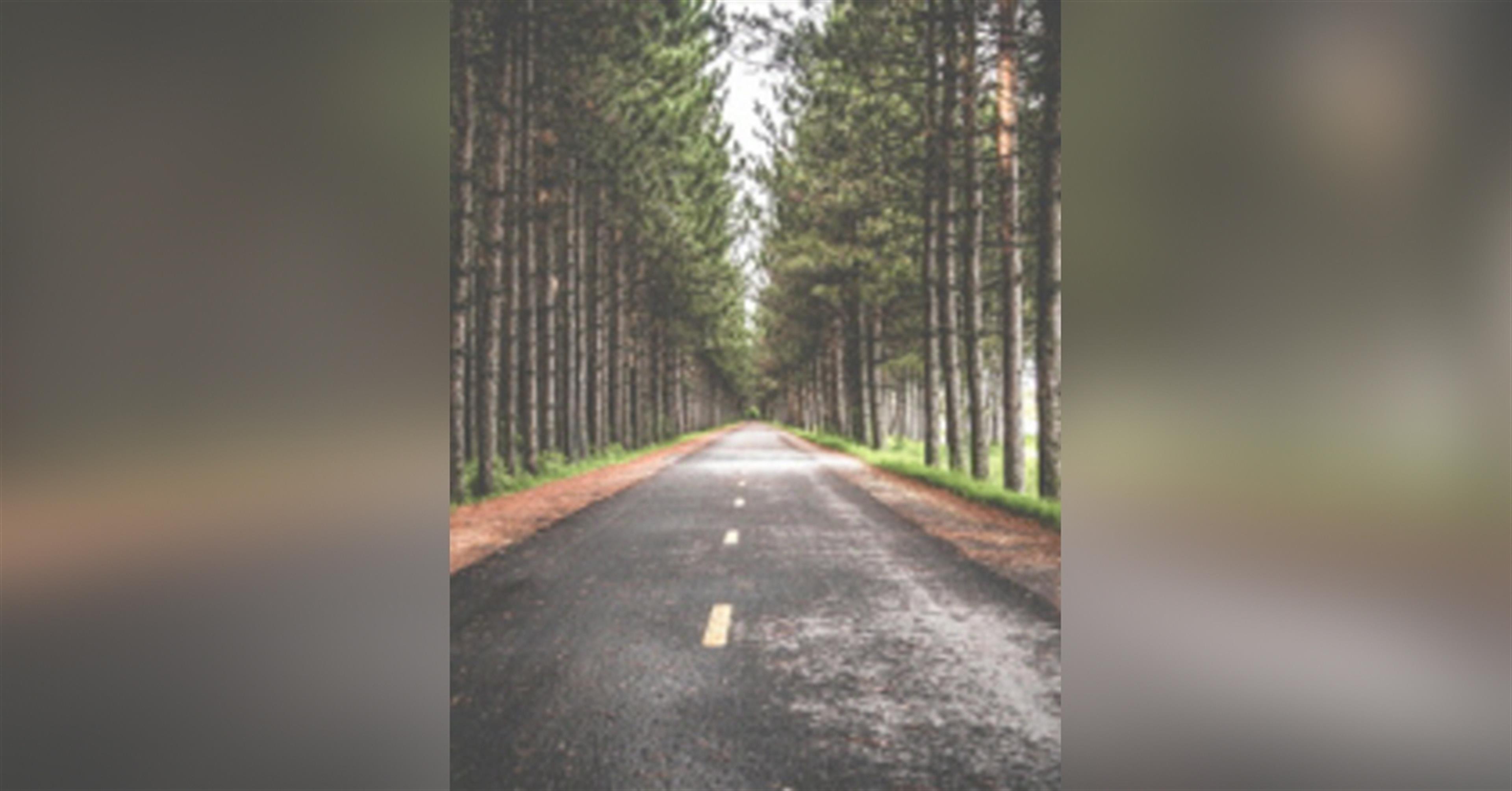 Allen "Al"  G. Nichols, Jr.