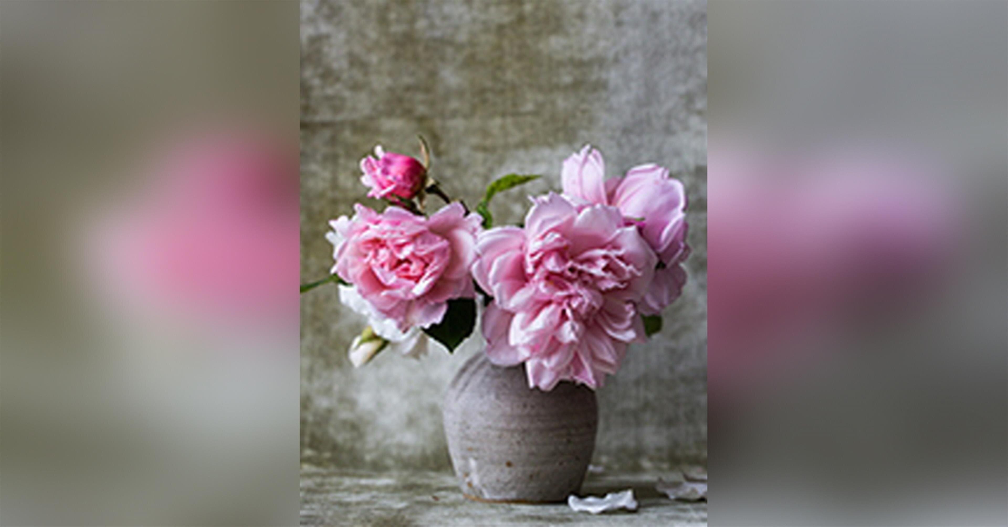 Norma Gail Scheidemantel