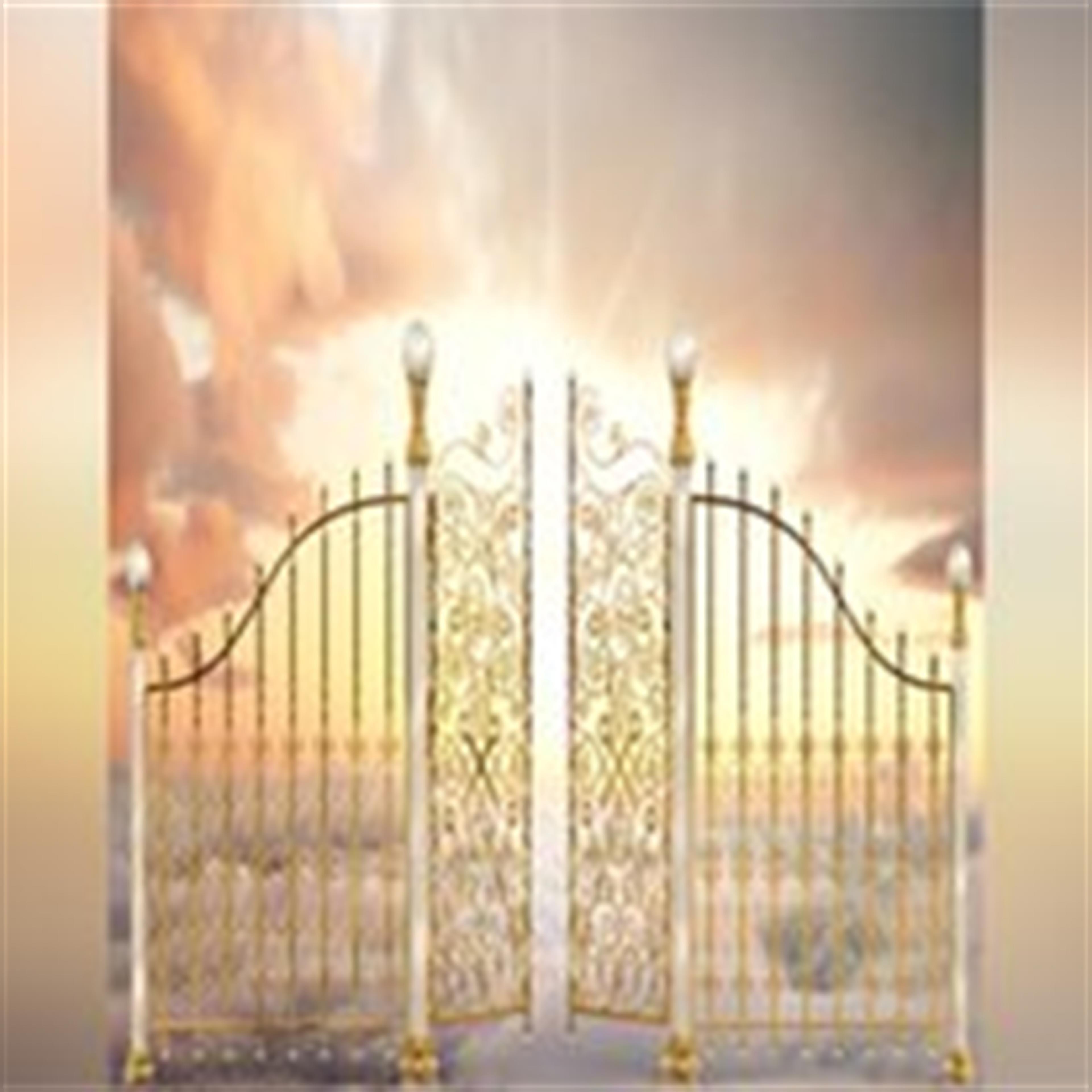 Emma Louise Pfeifer's obituary picture