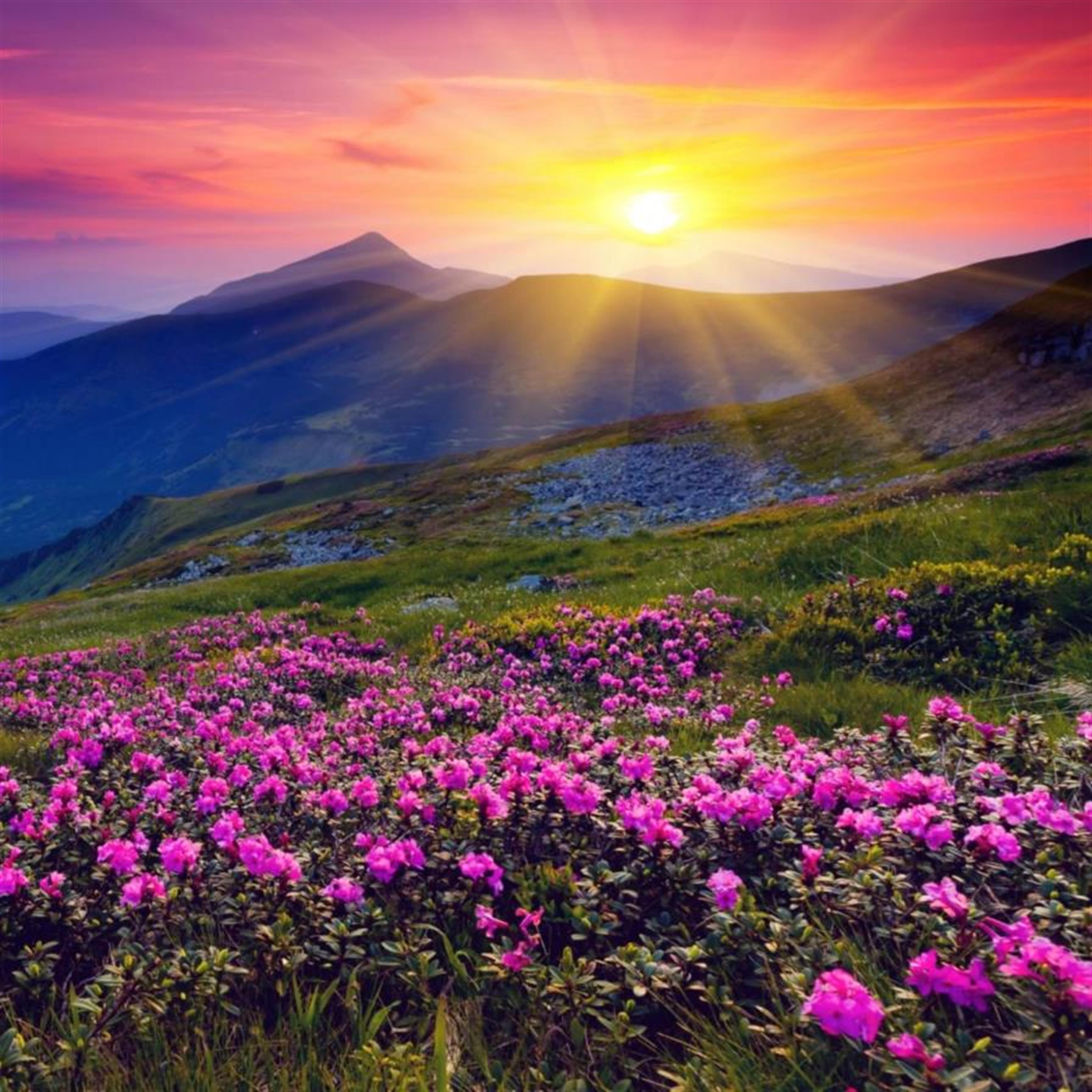 Jeannetta Matthews Crawford