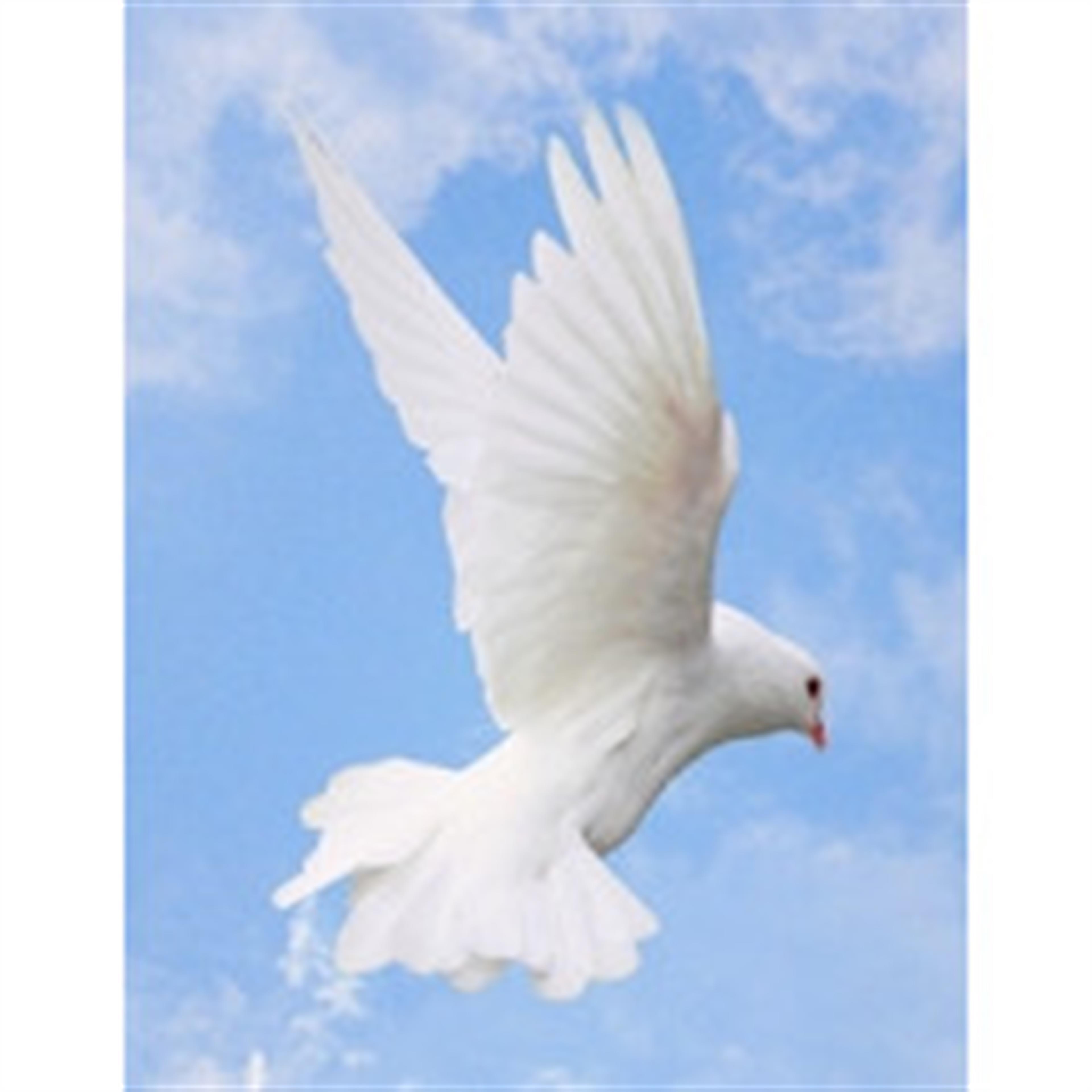 Lillian Jo Gomeringer