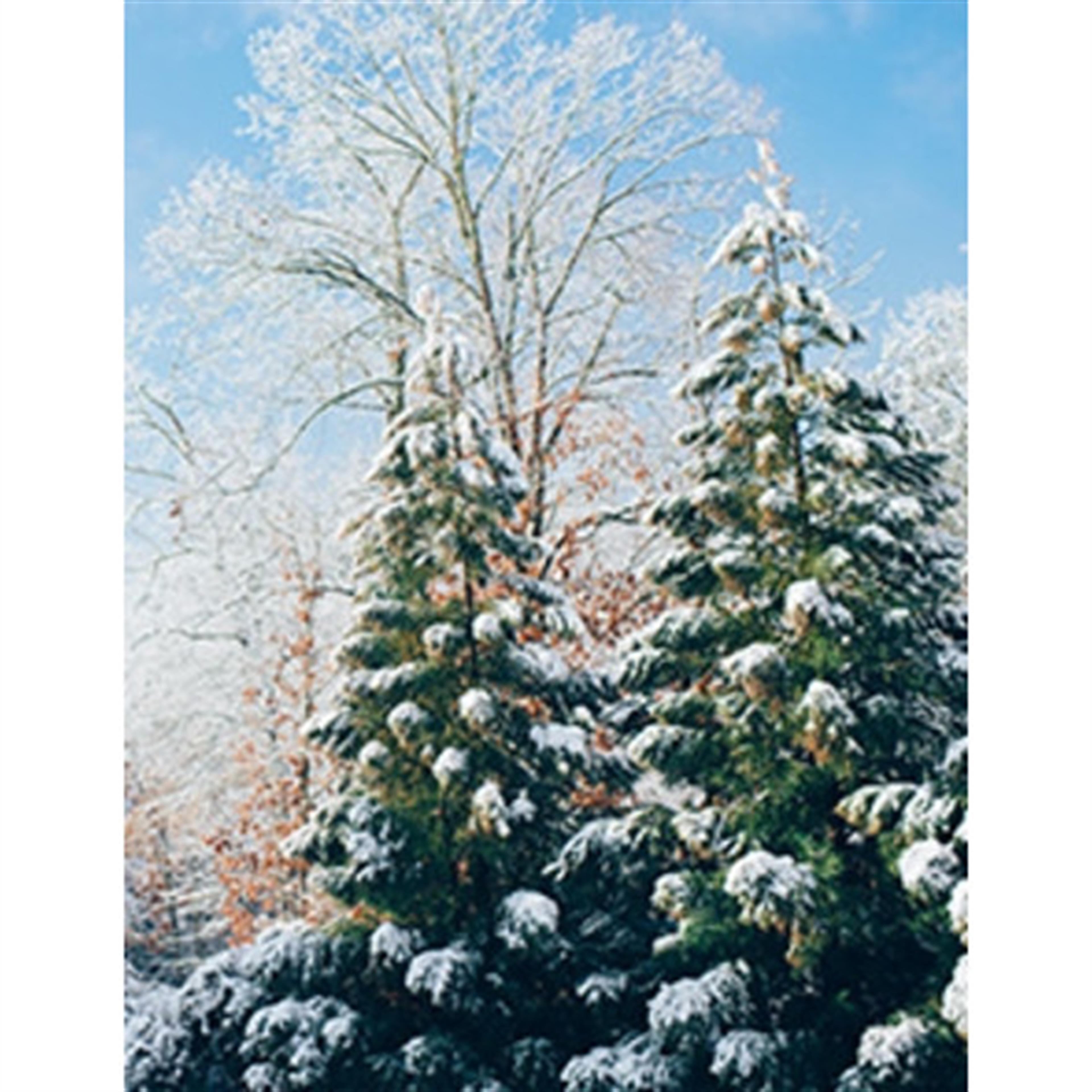 Larry Wayne Rose's obituary picture