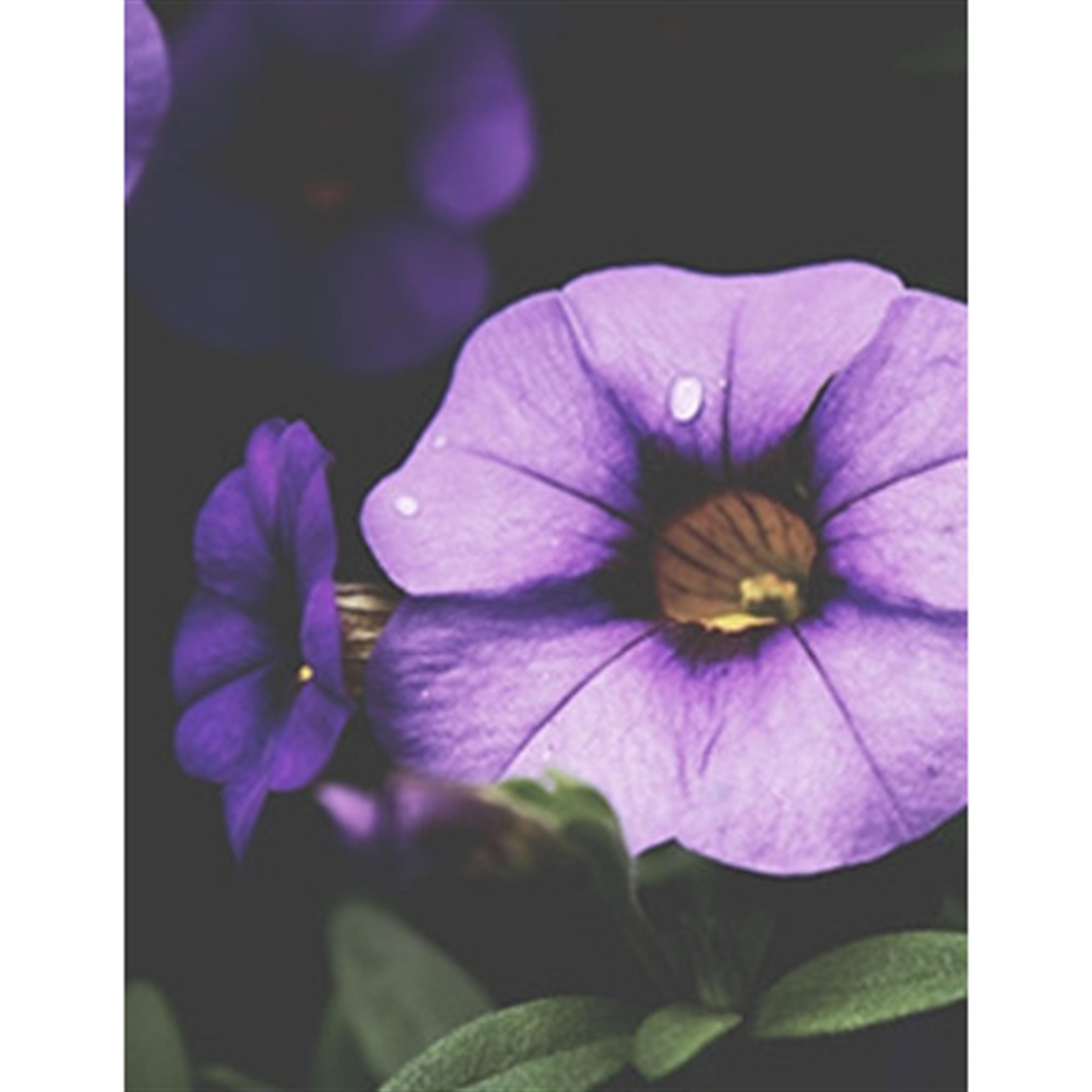 Wanda L Church's obituary picture