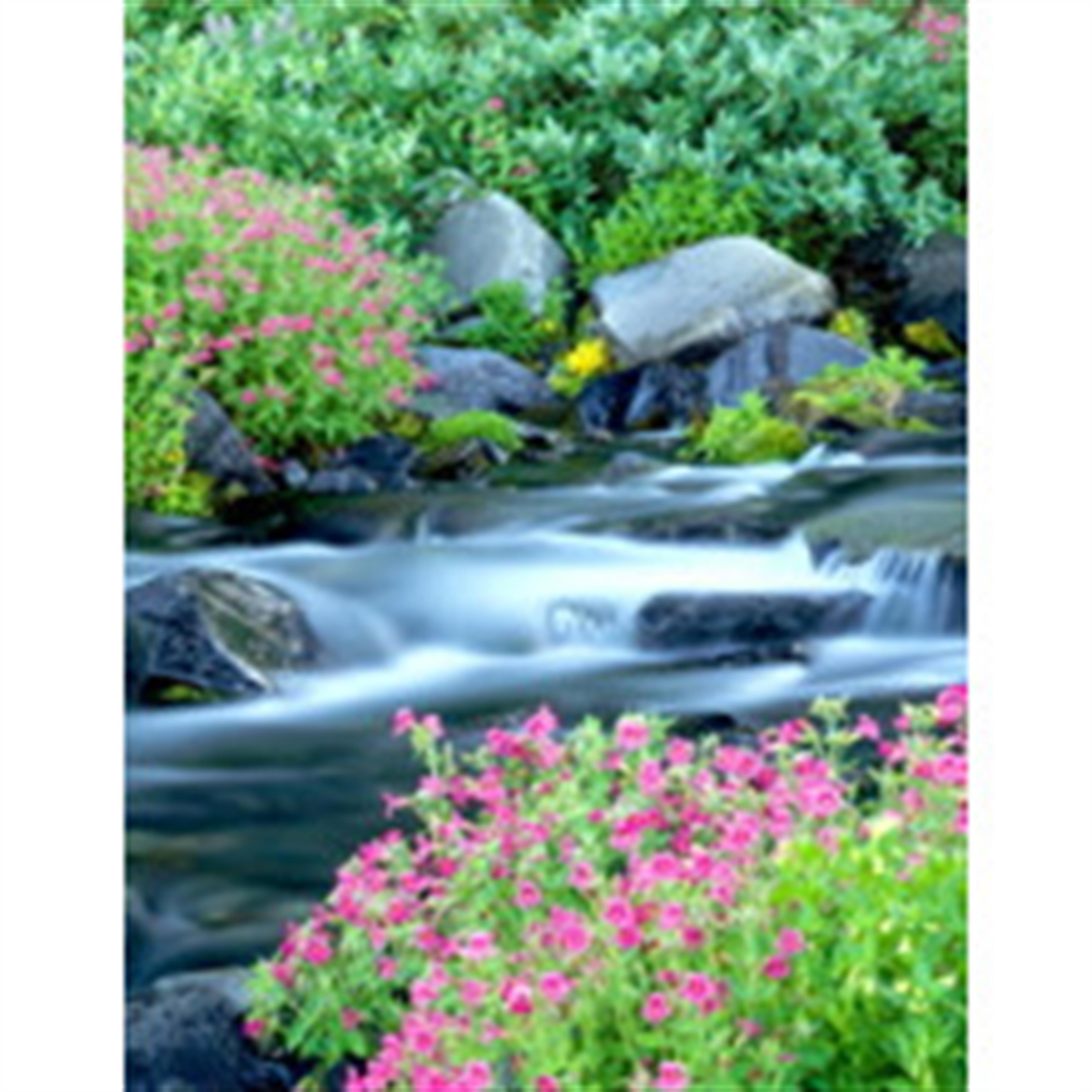 Danielle Nicole Smith's obituary picture