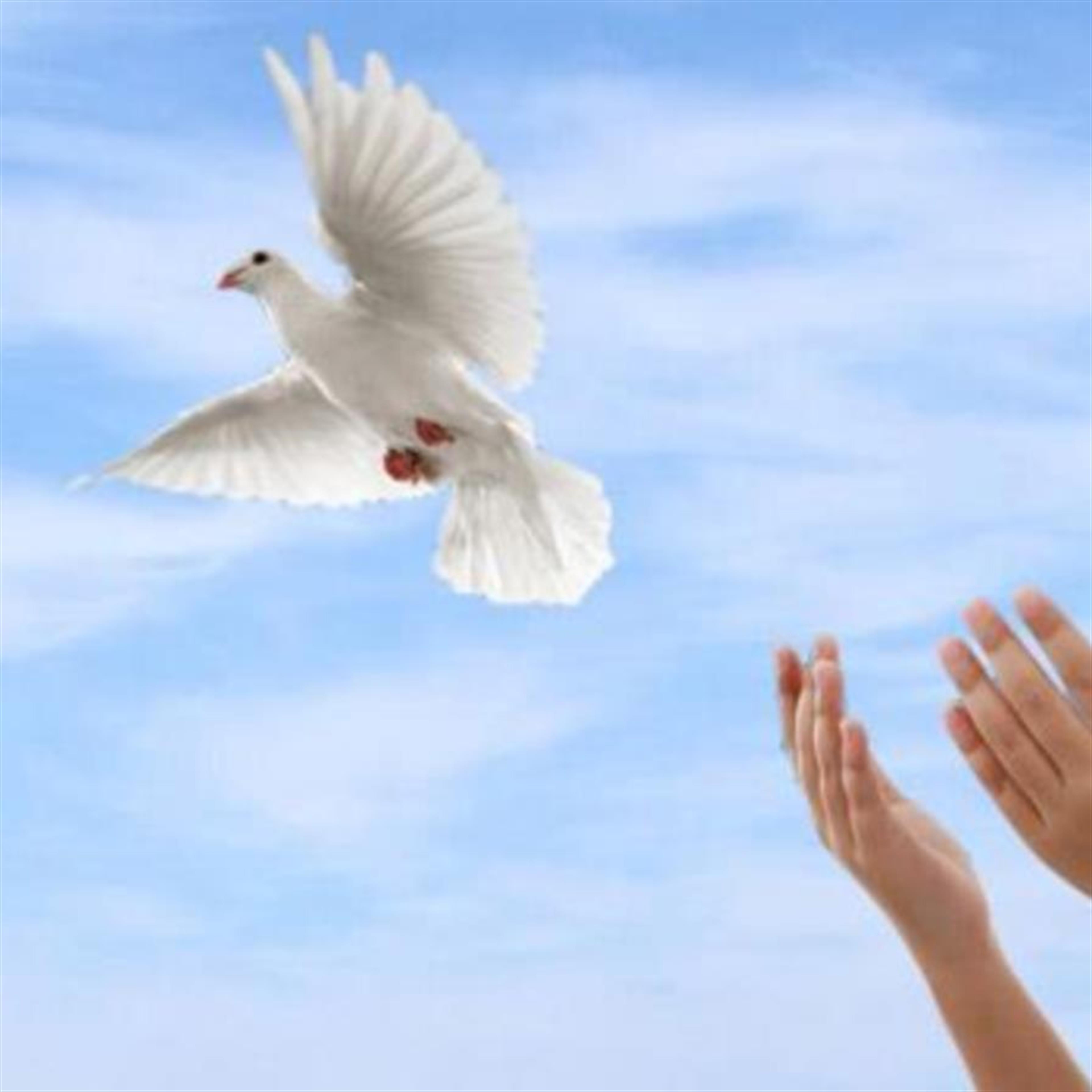 Leet, Marlene Francis