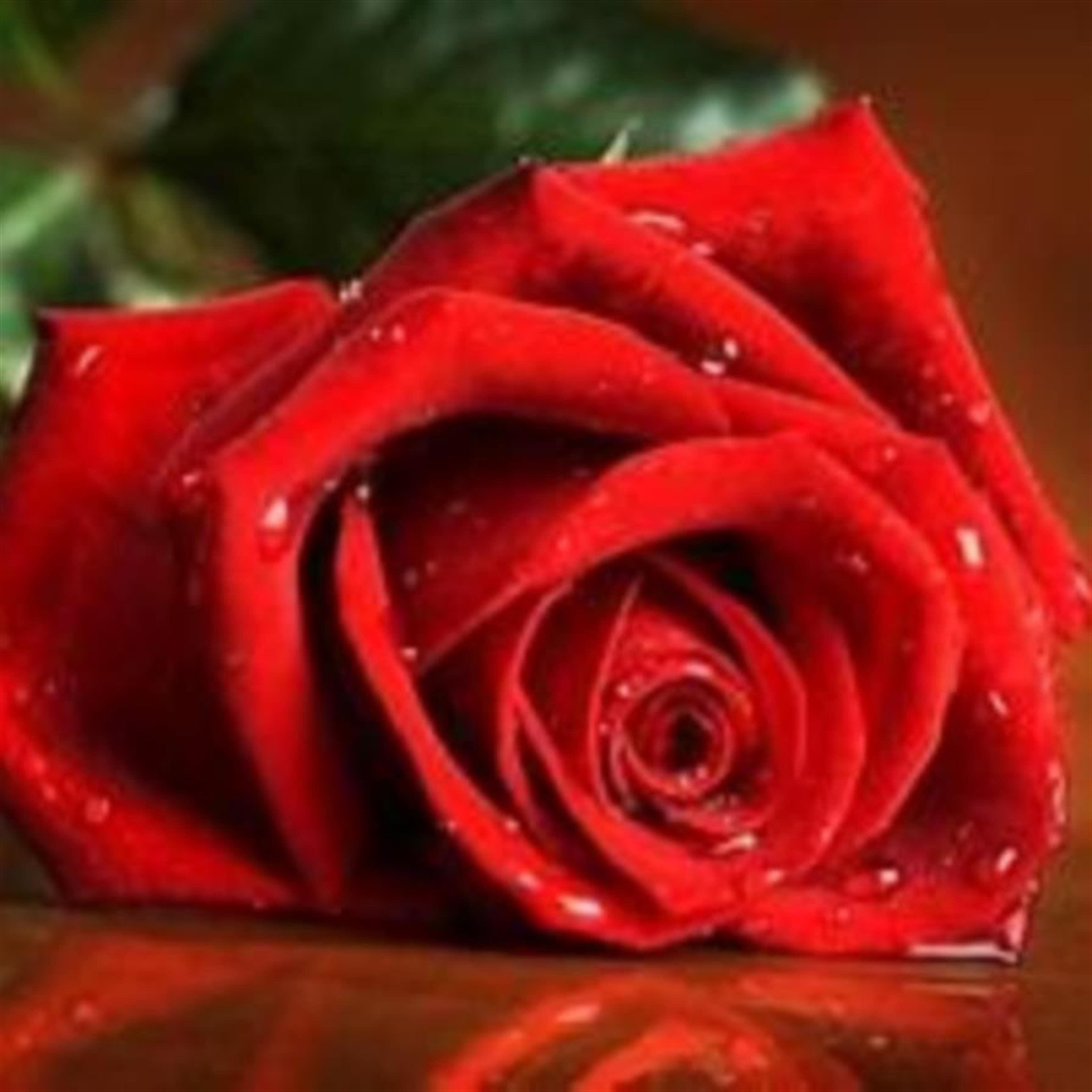 Aman Kumar