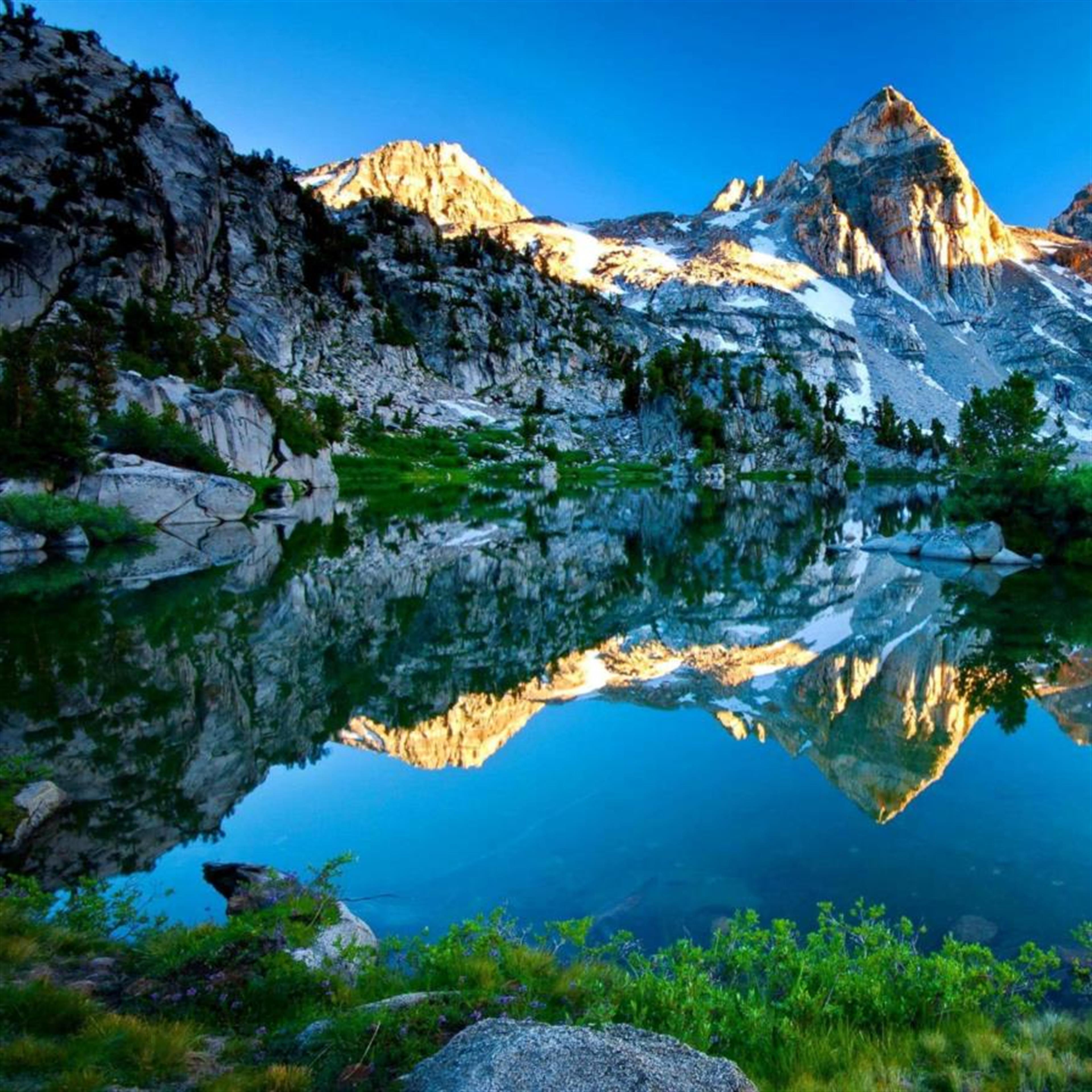 Yolanda Marie DiFranco