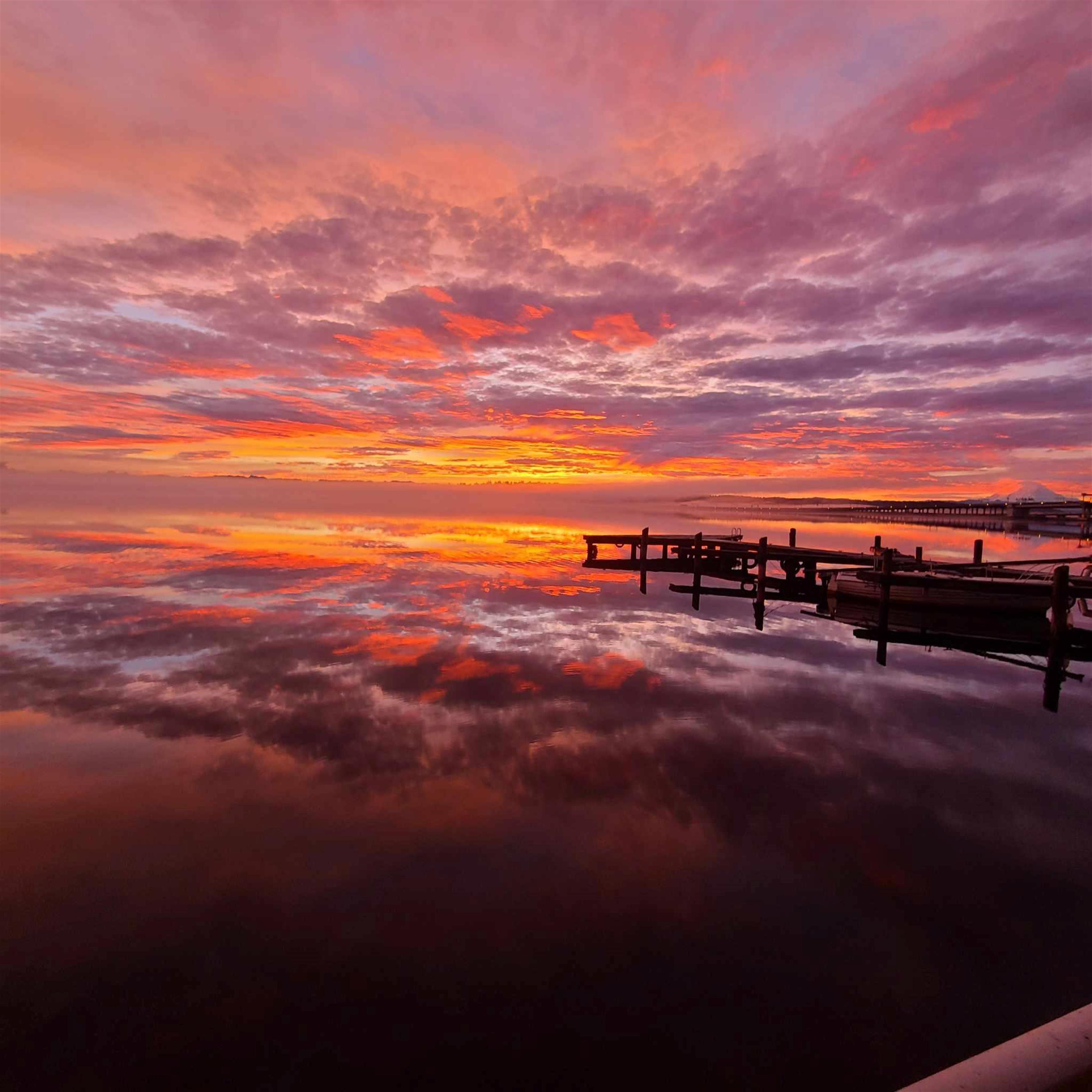 Thinh Tran's obituary picture