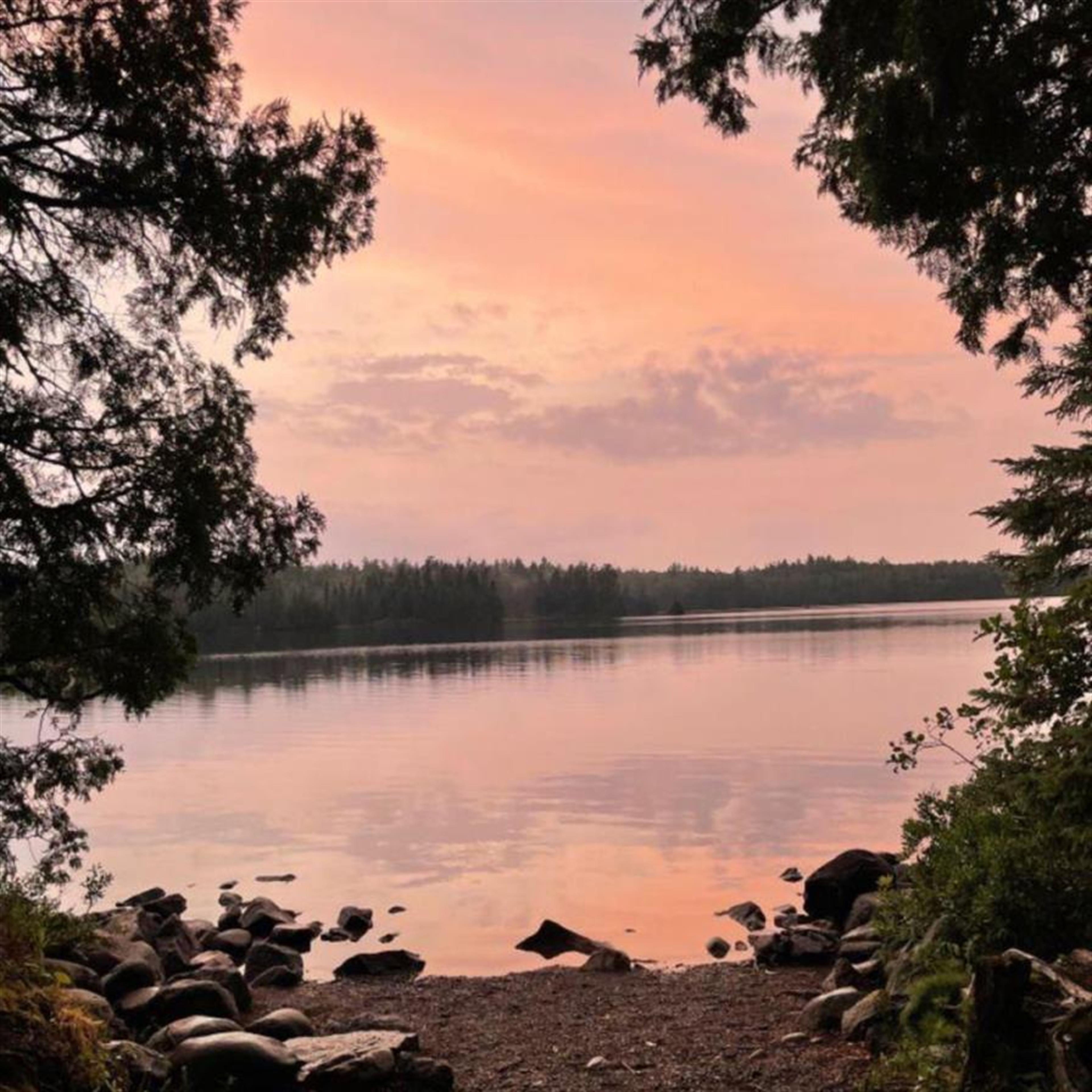 Mr. Dennis Michael McGee's obituary picture