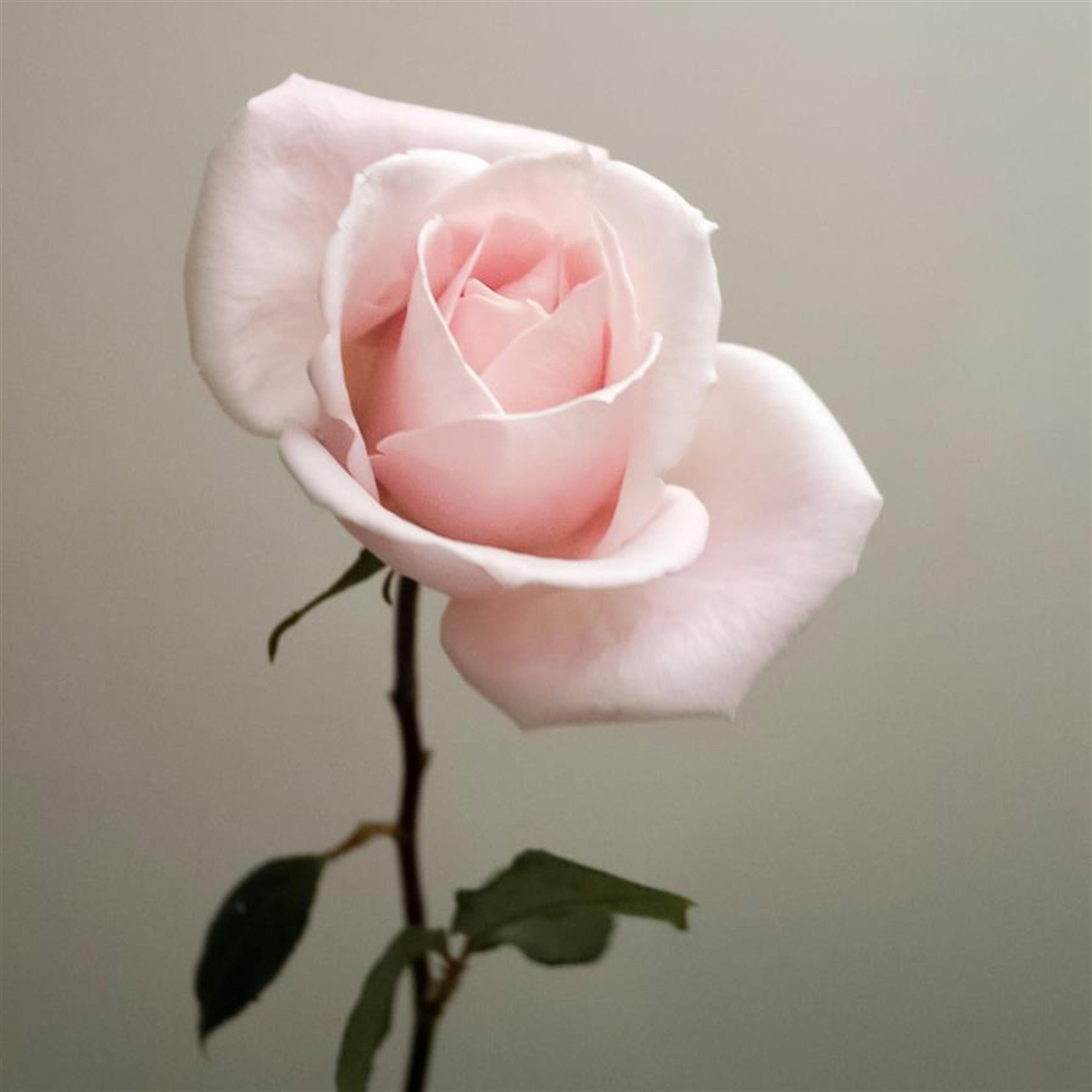 Helen Lorraine Wilkerson