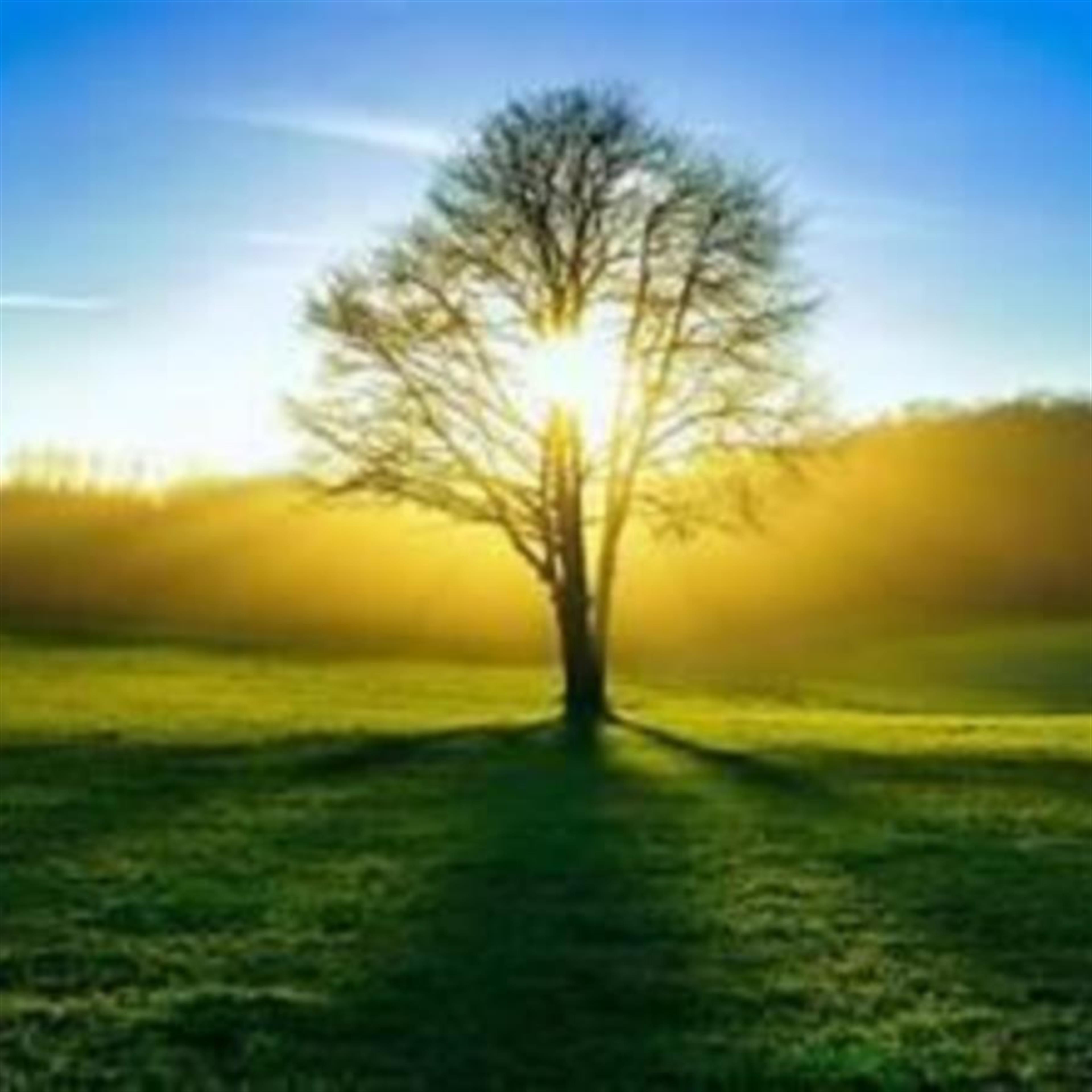 Timothy Aaron Church