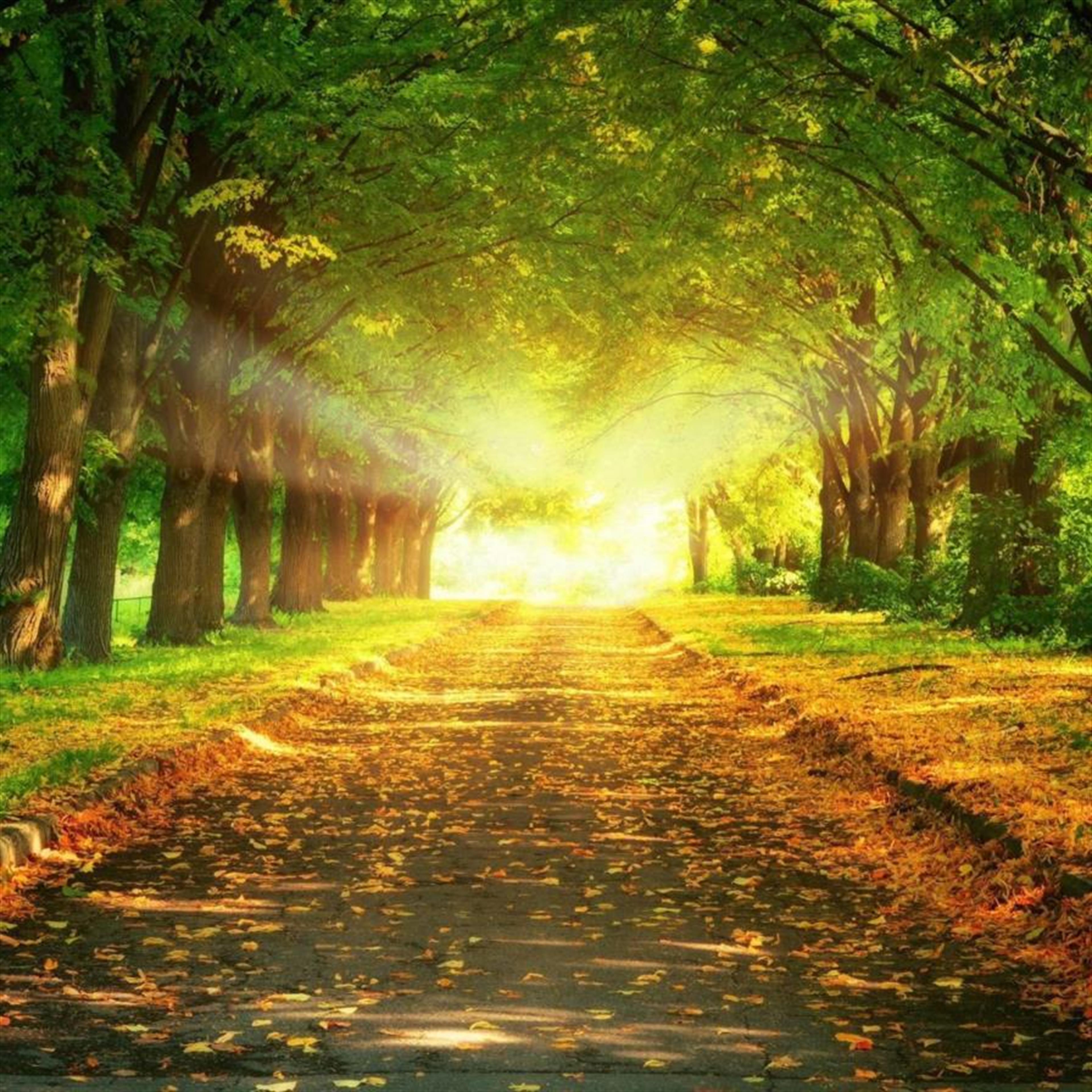 Roy "Wayburn" Adkins