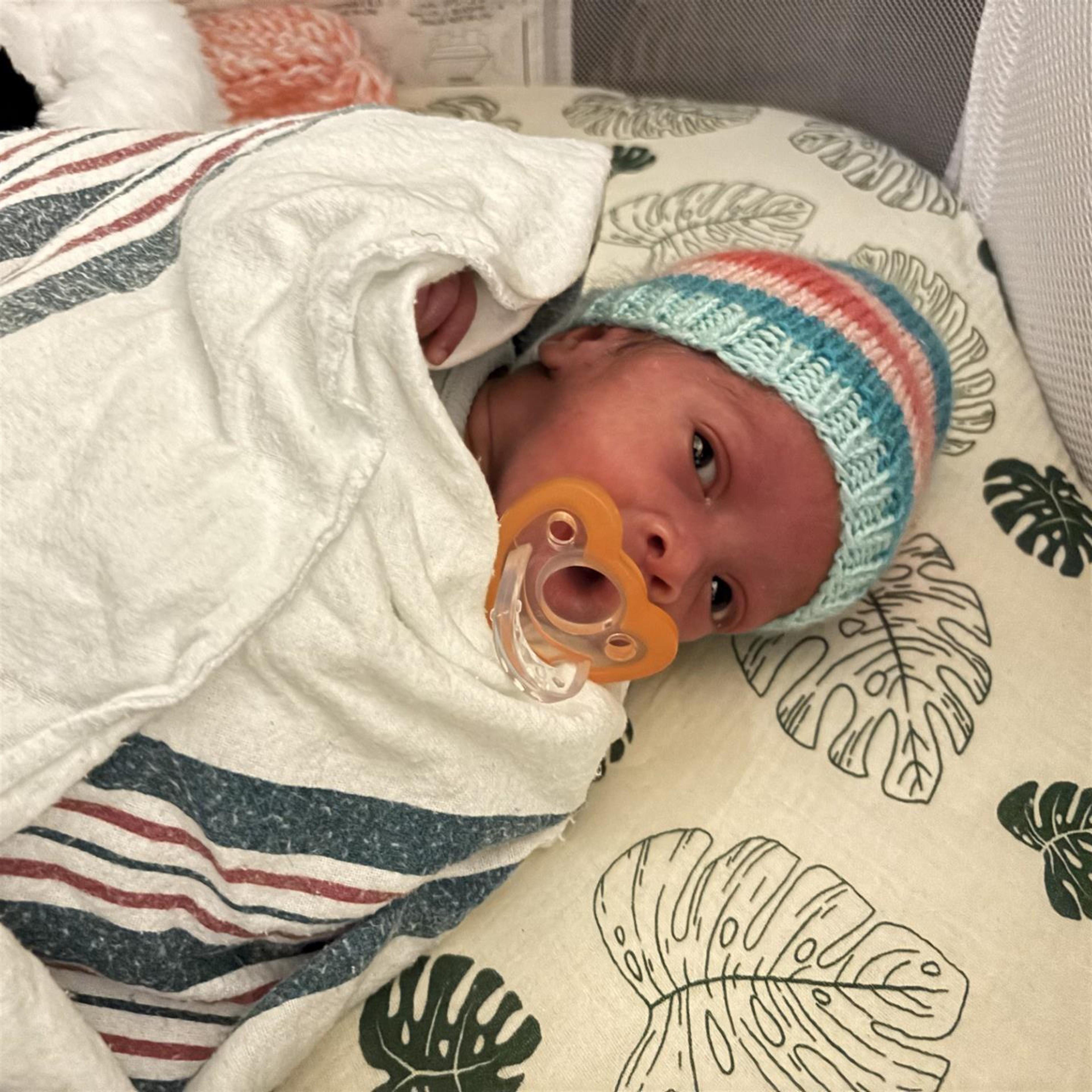 Velvet Ahriel Micah Johnson