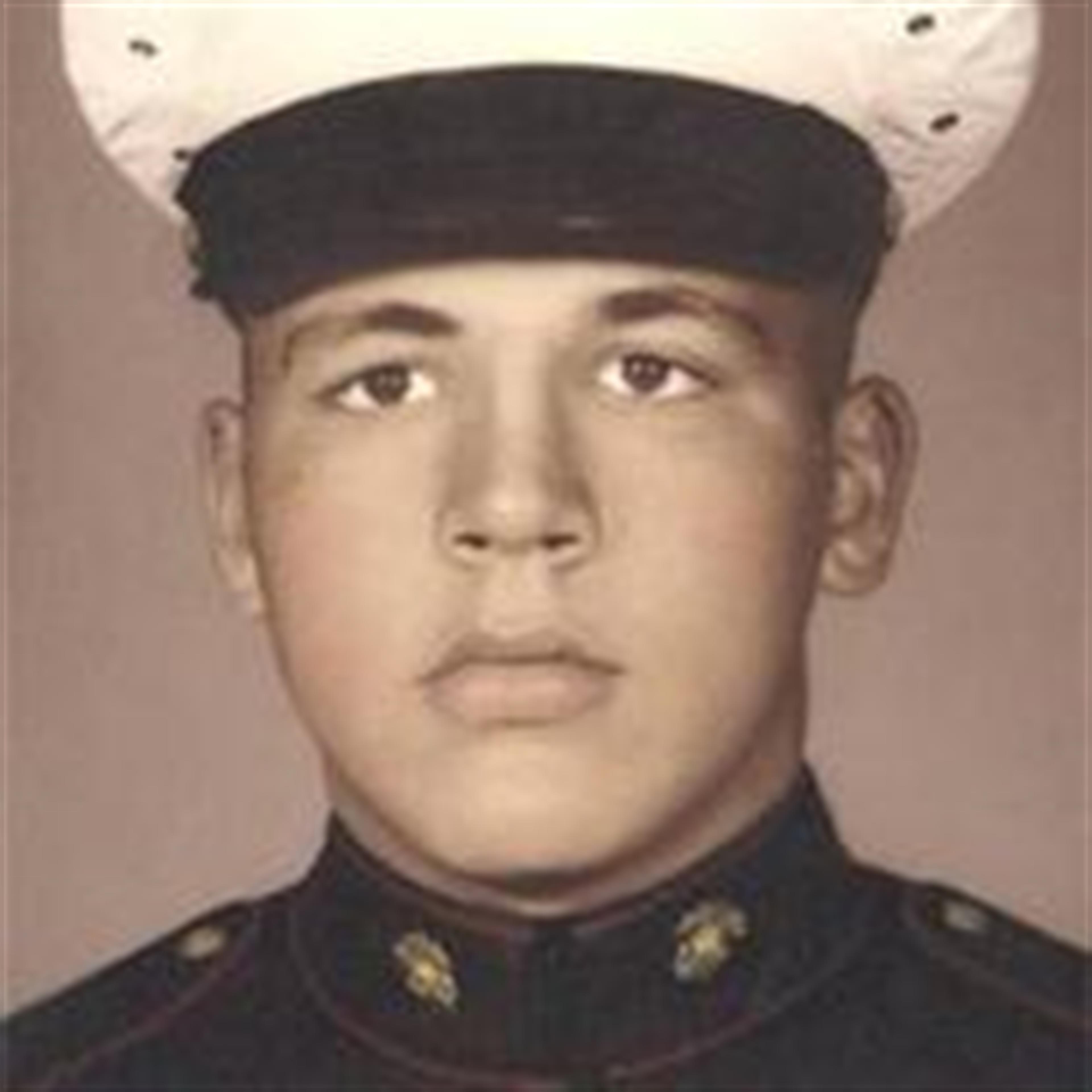 Henry "Hank" Albert Mevis' obituary picture