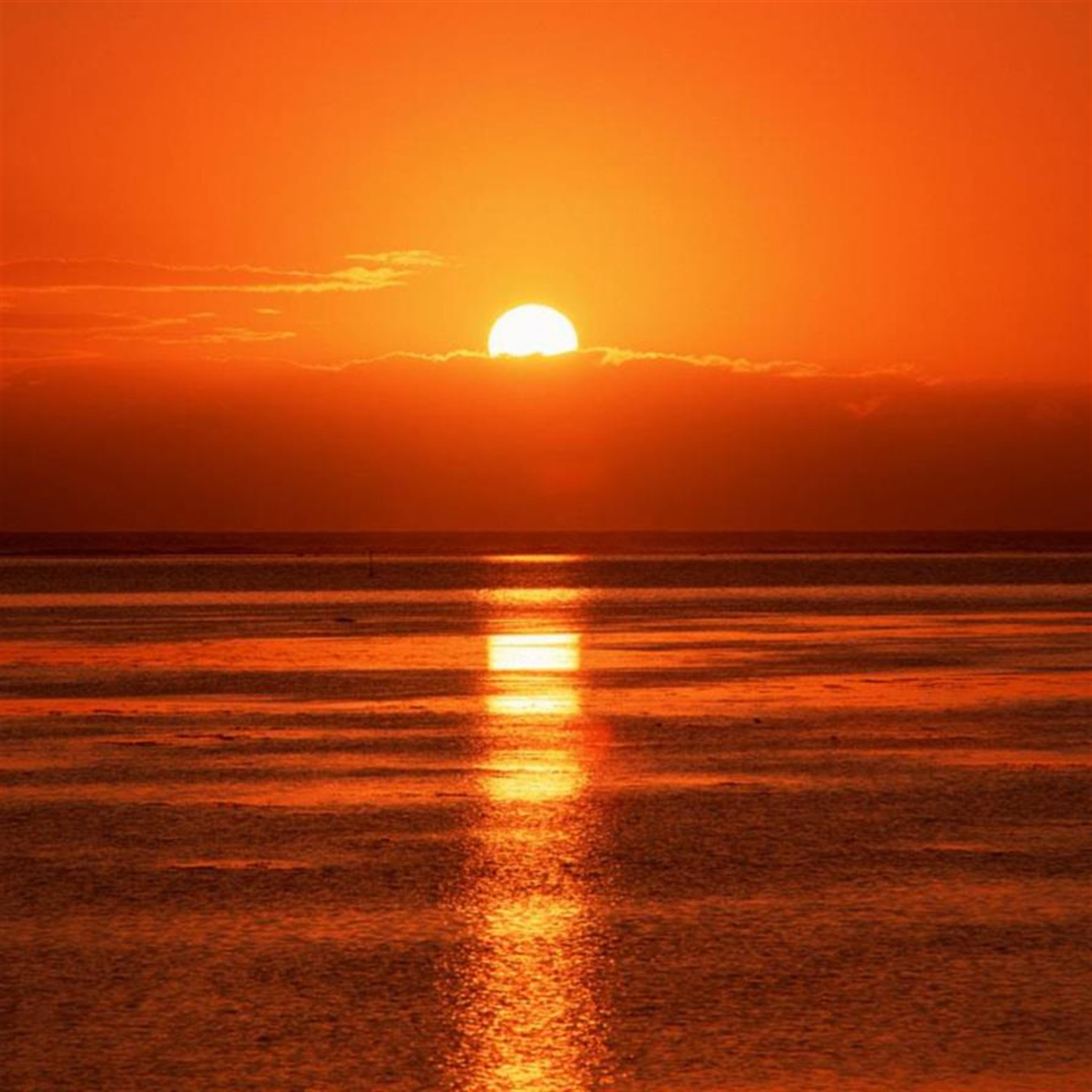 Marion "Marianna" Gervasi