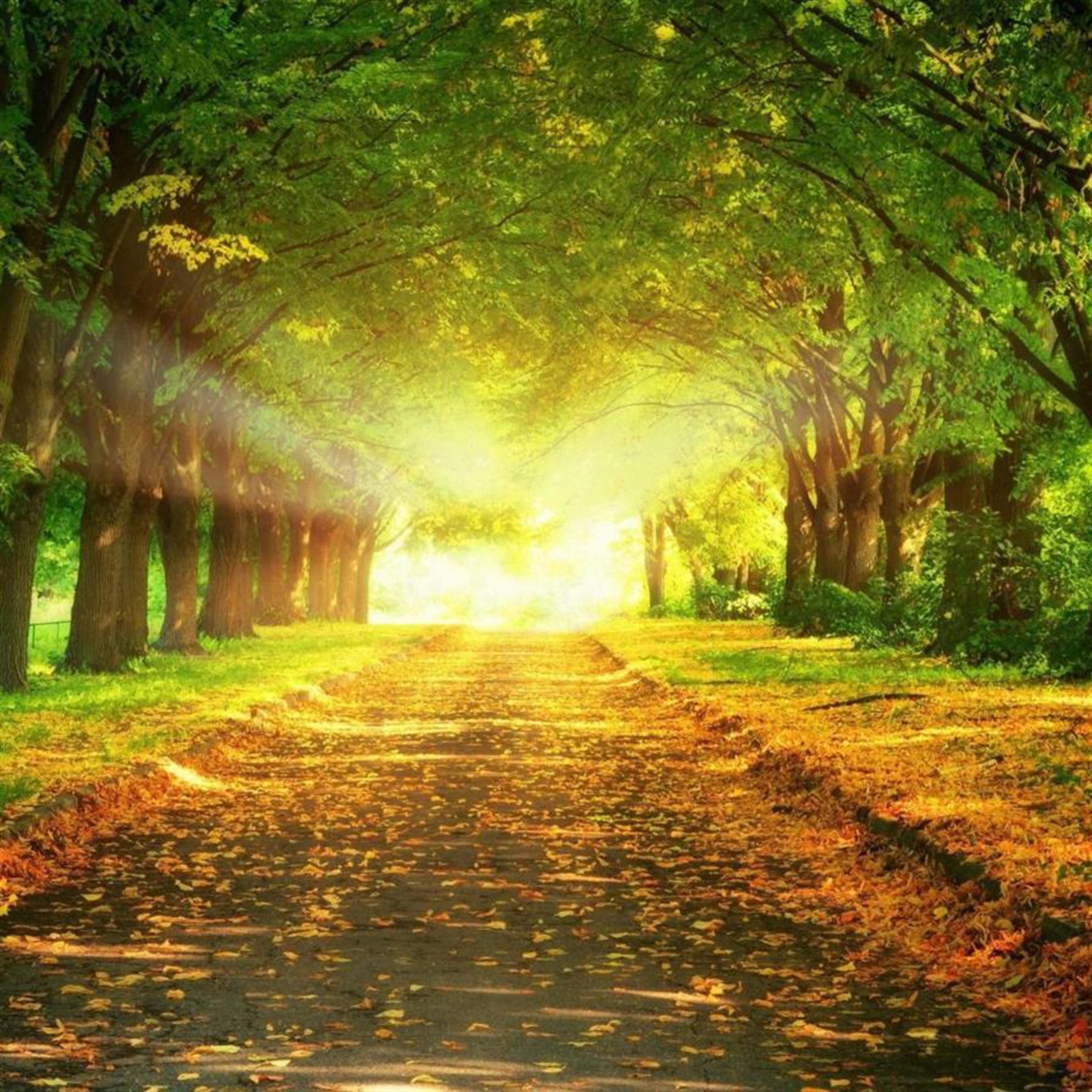 Douglas Eugene Burcham