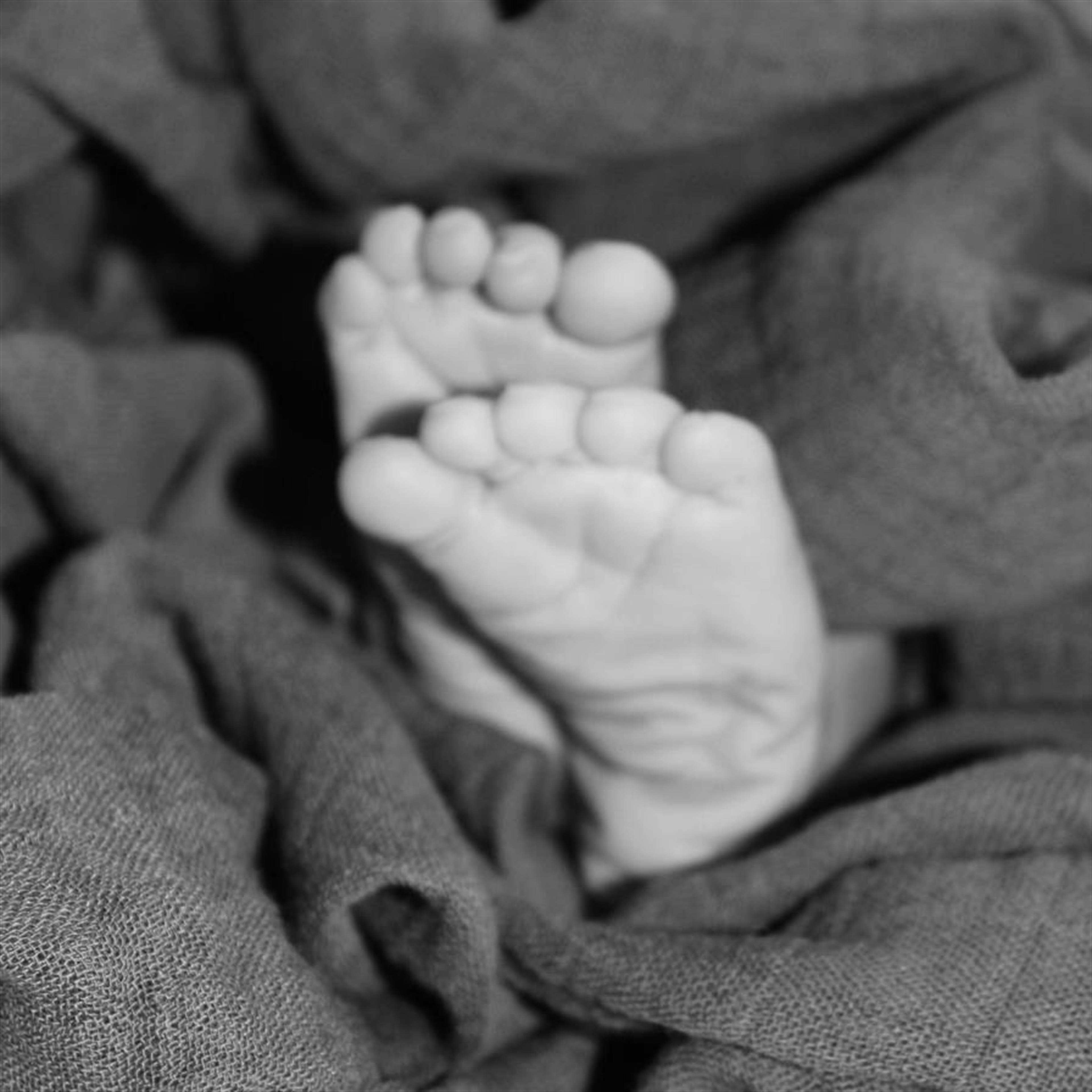 Kade Everett Brown