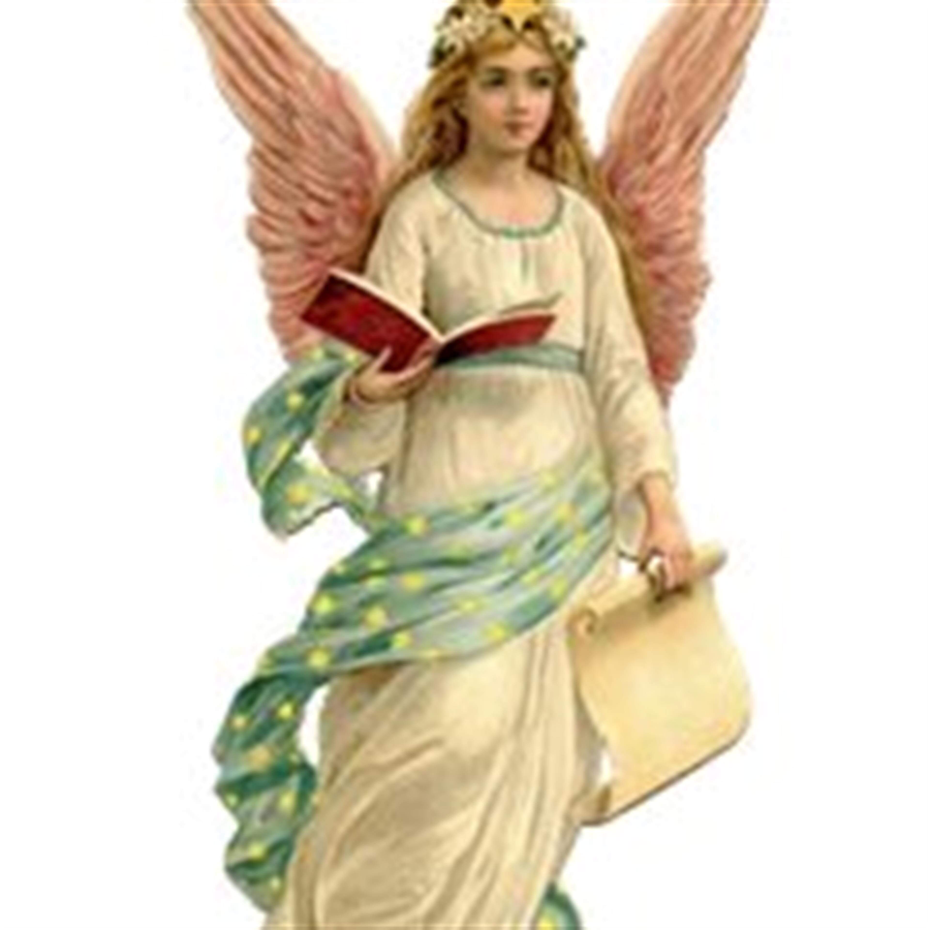 Sandra L. (Campanelli)  Williams