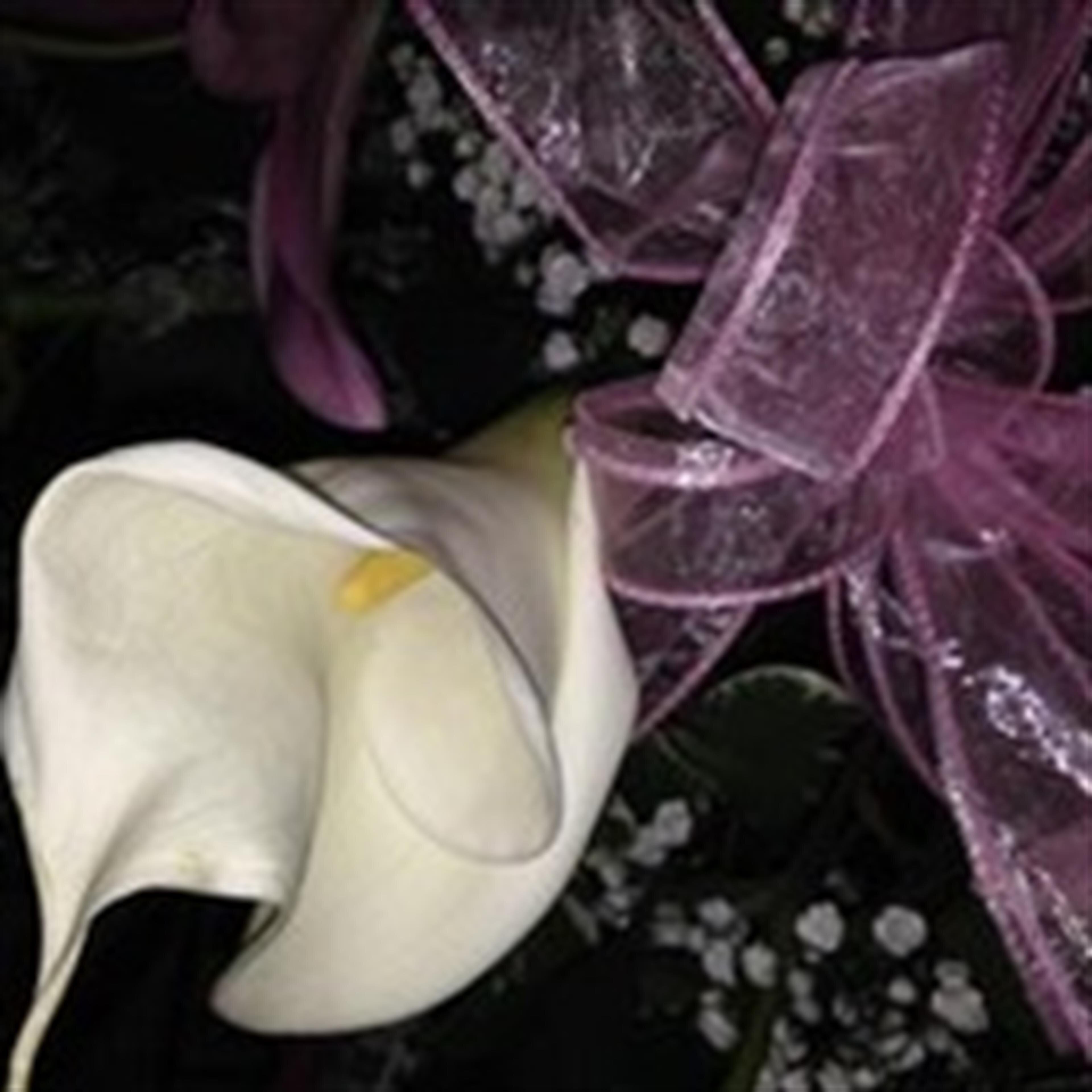 Lois Hart