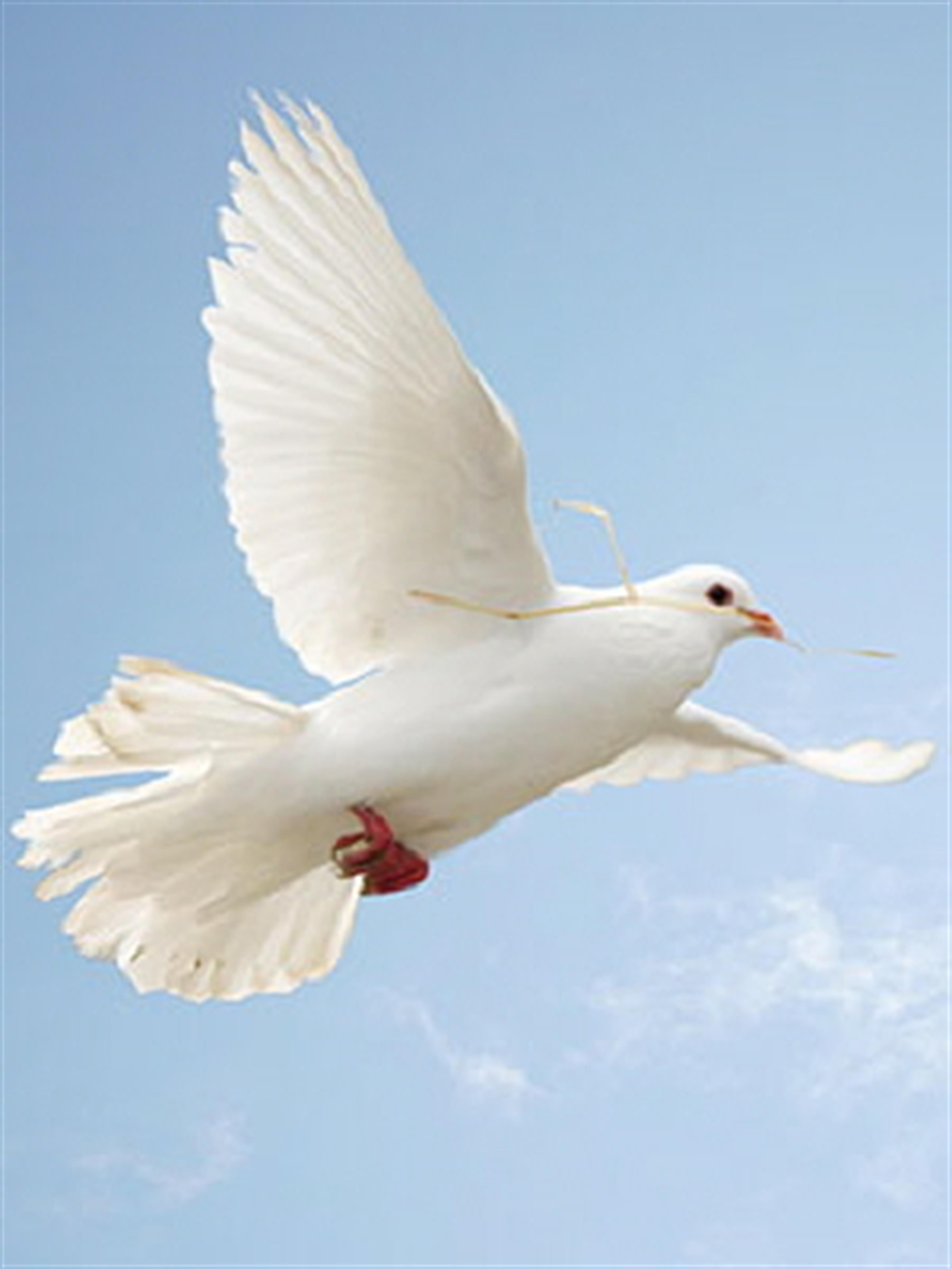 Jaime Garcia