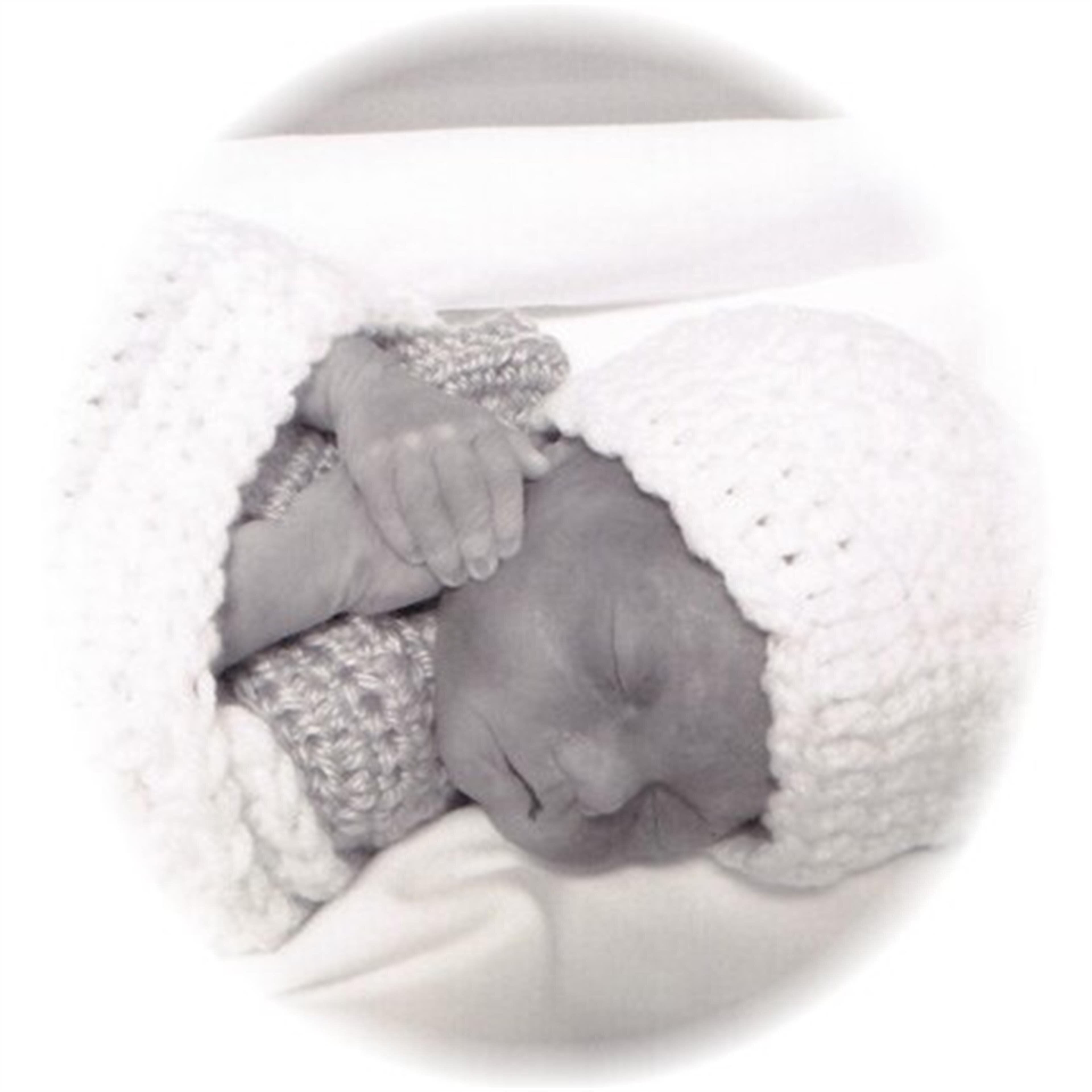 Rosalia Bloom Loyd