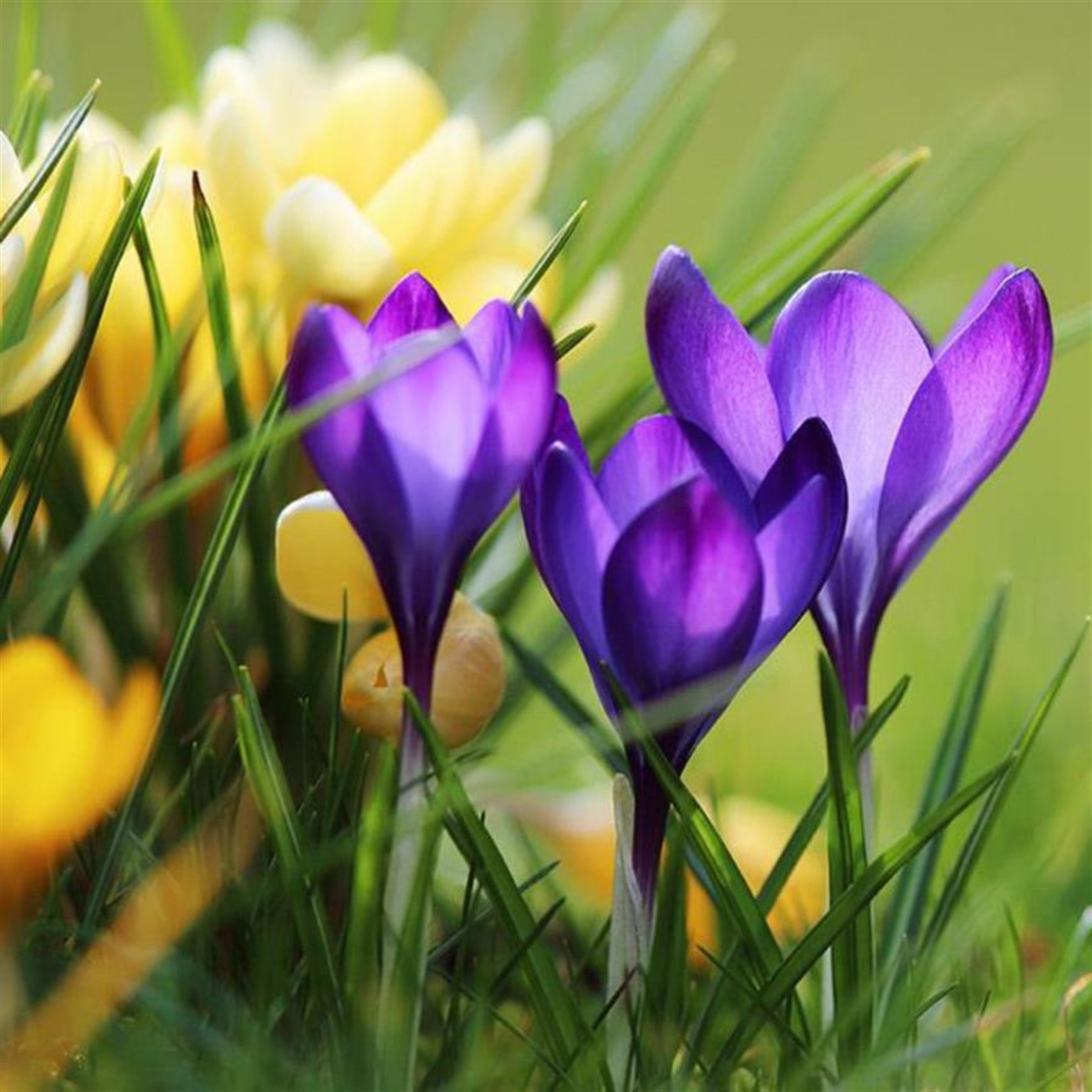 Billy King's obituary picture