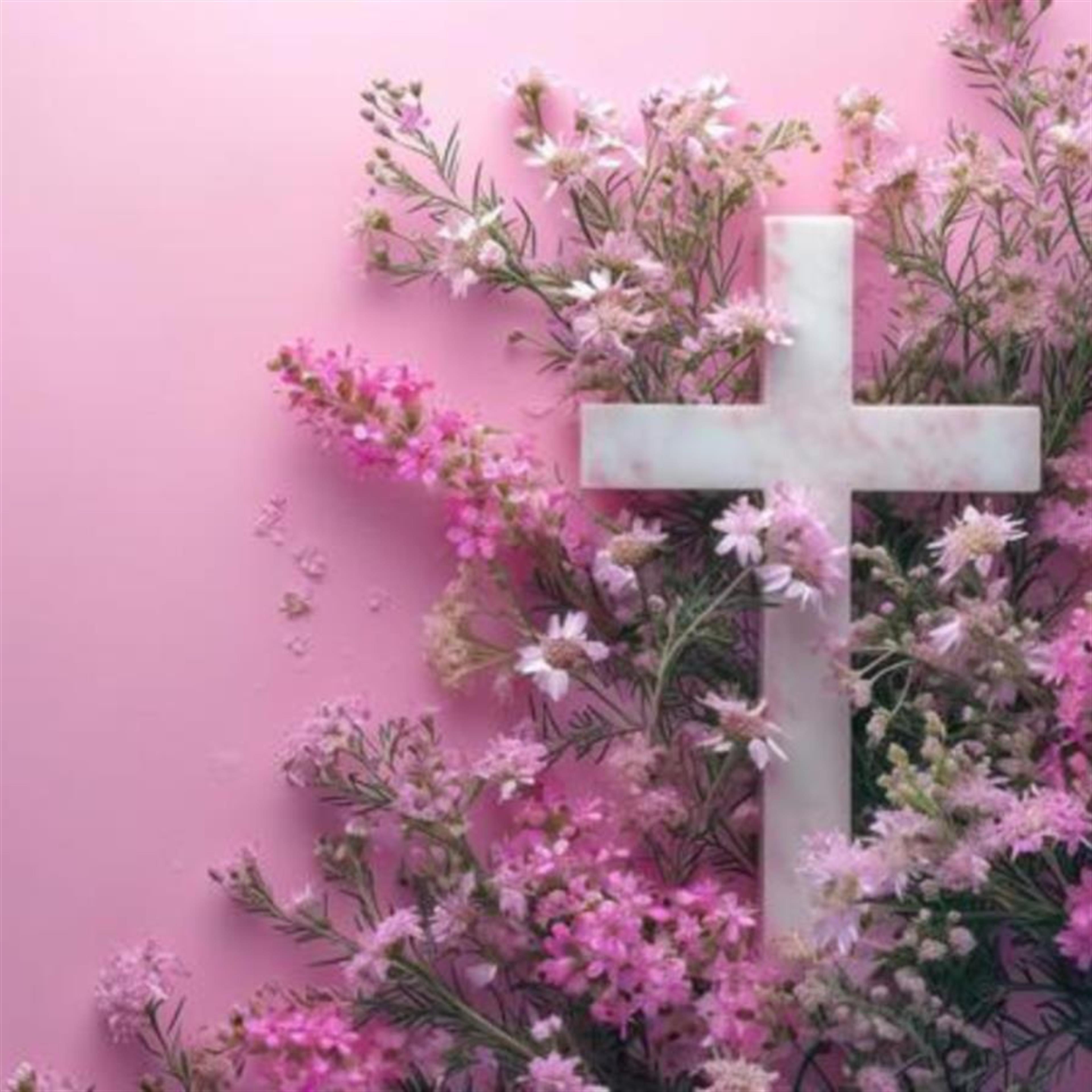 Mrs. Shirley Jean McCollum