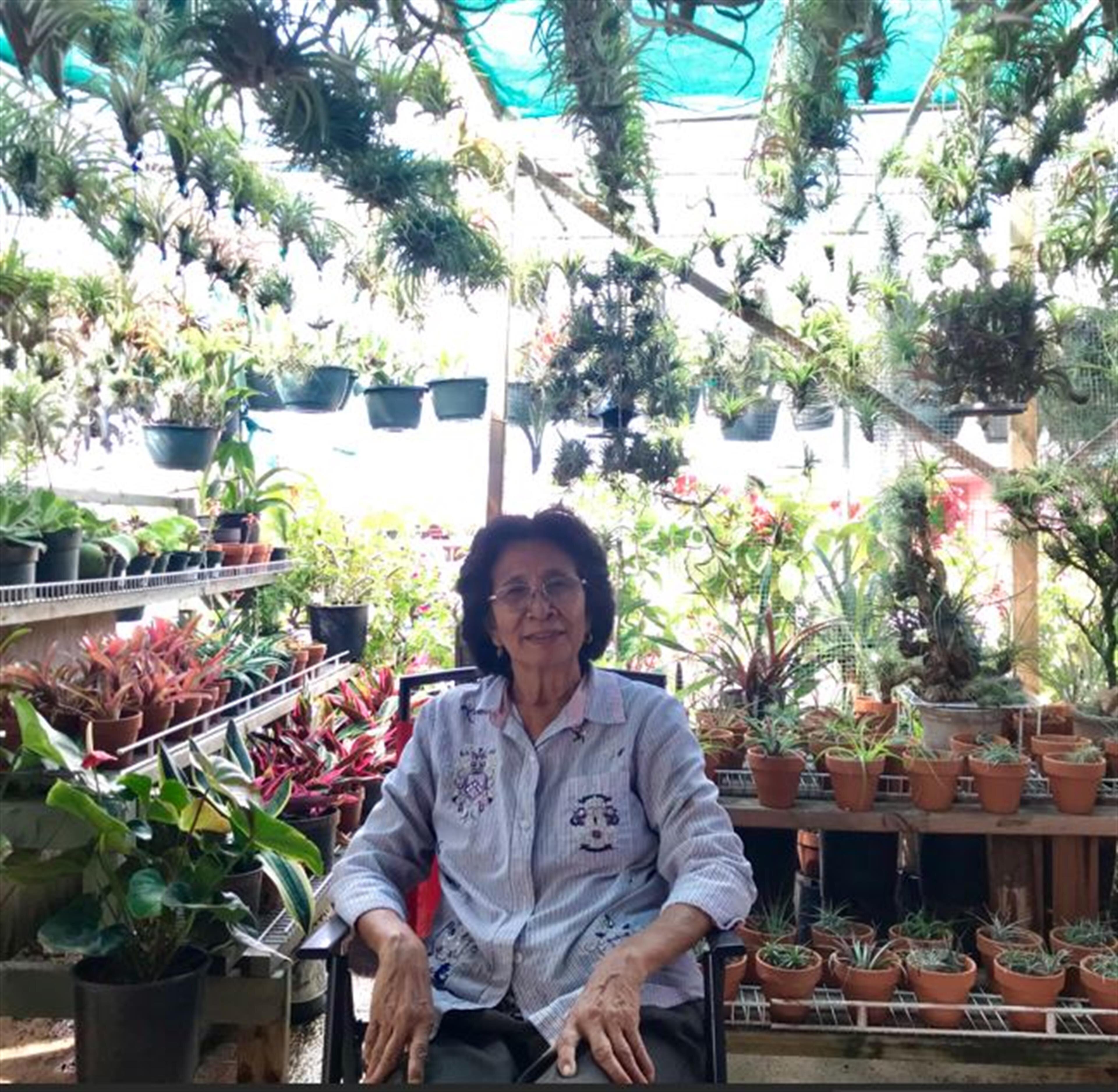 Lucena Tolentino Vallejo