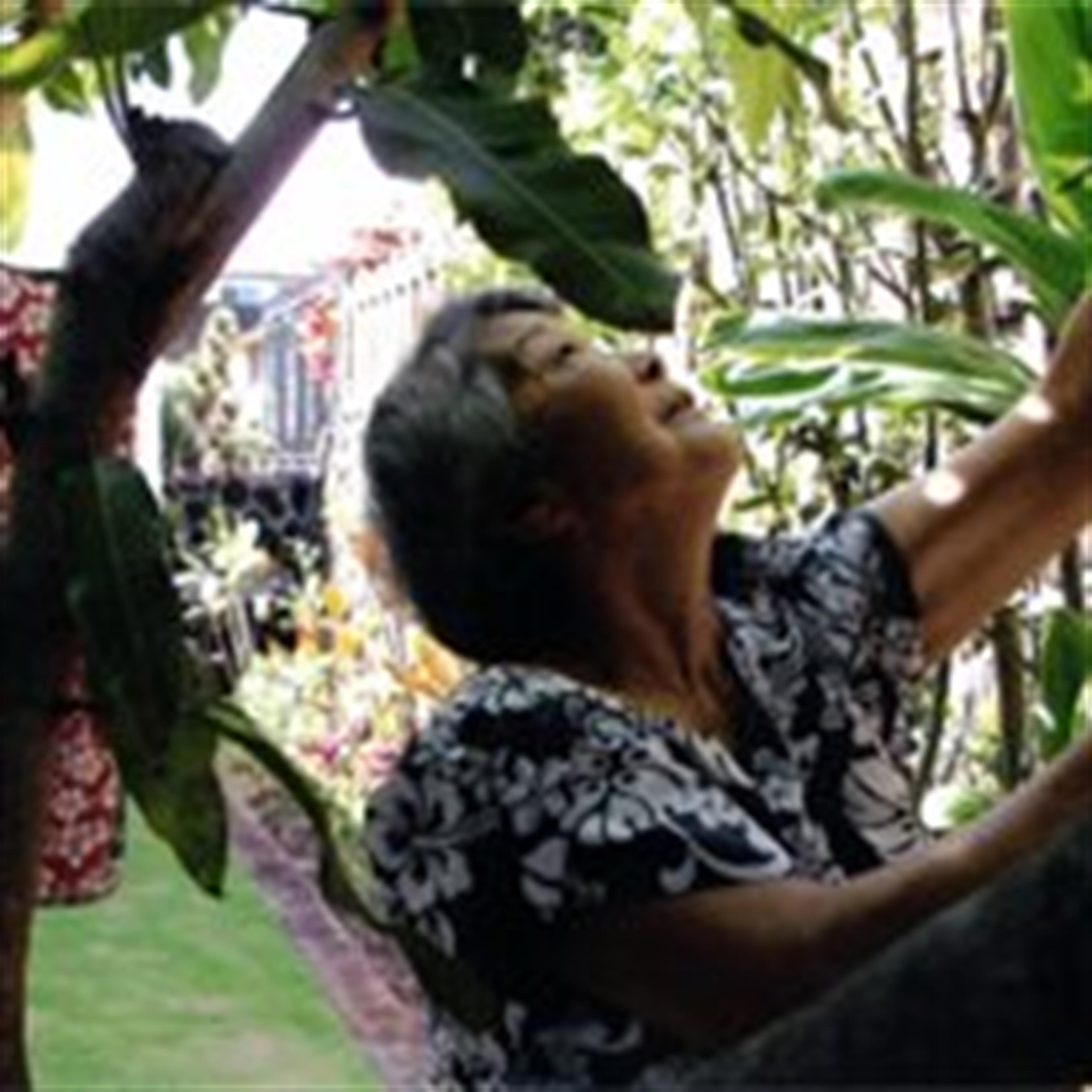 Janet Chizuko Lau