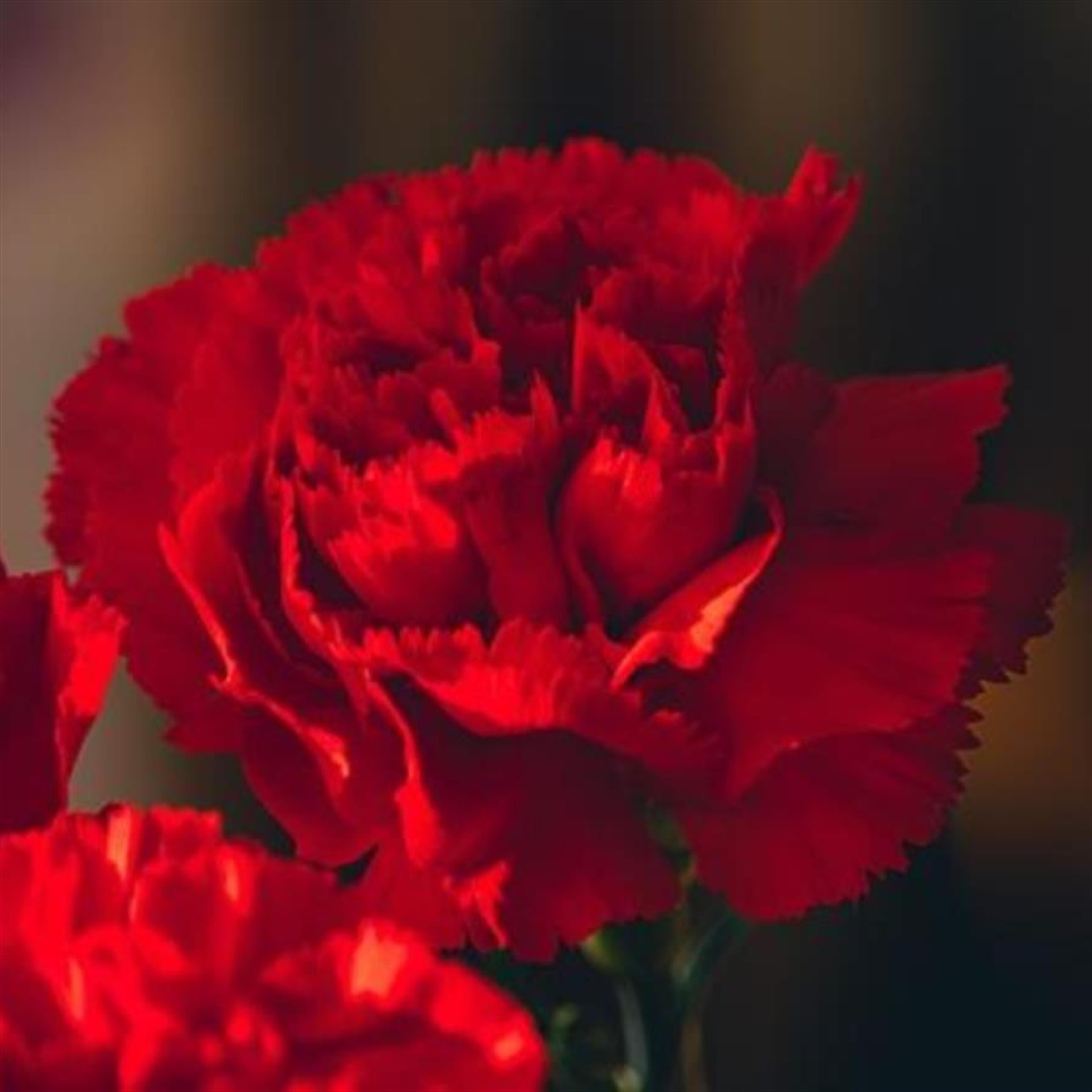 Wanda Jean Offord's obituary picture