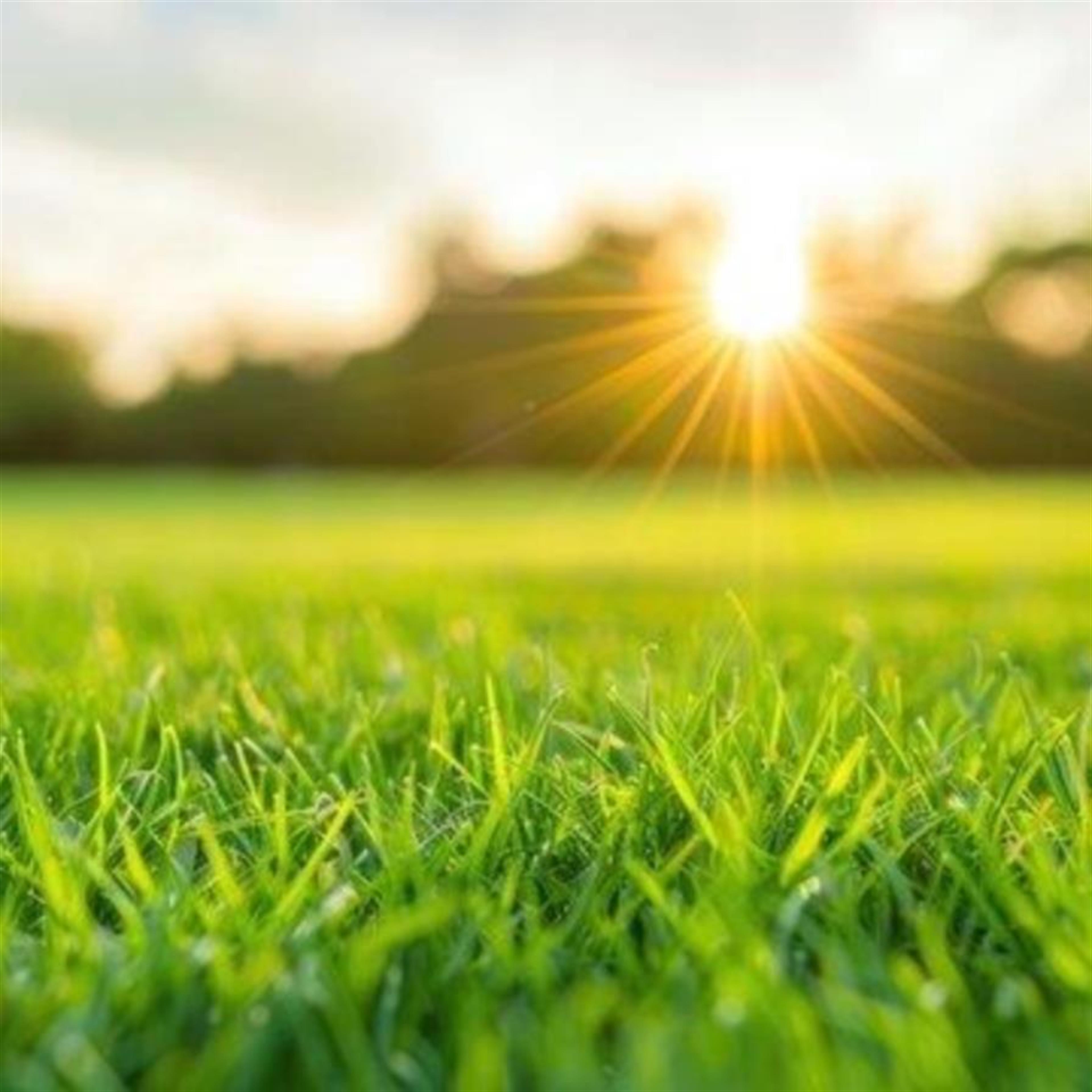 Jeffrey Roy Hill's obituary picture