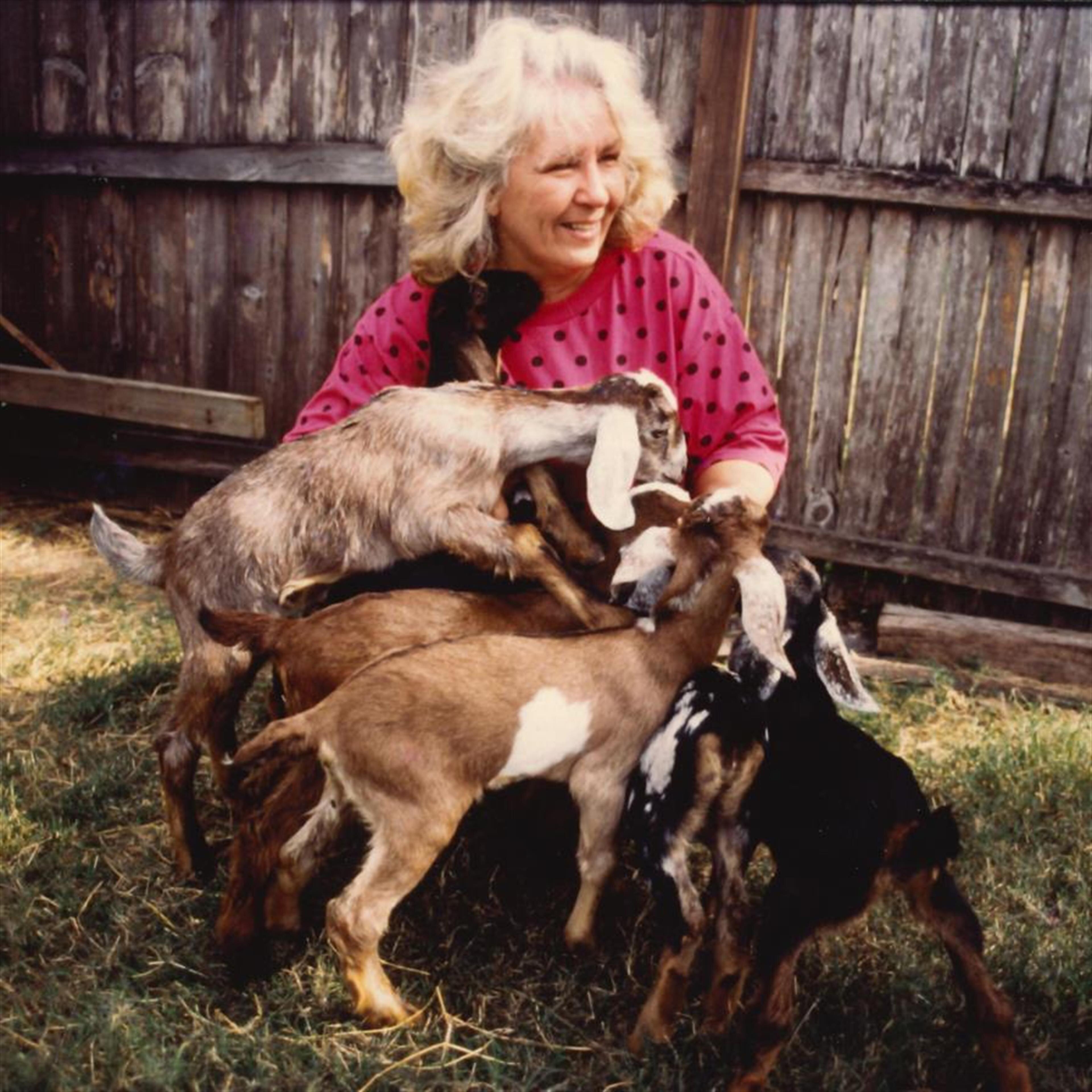 Joyce Ellen Glaum Schroeder