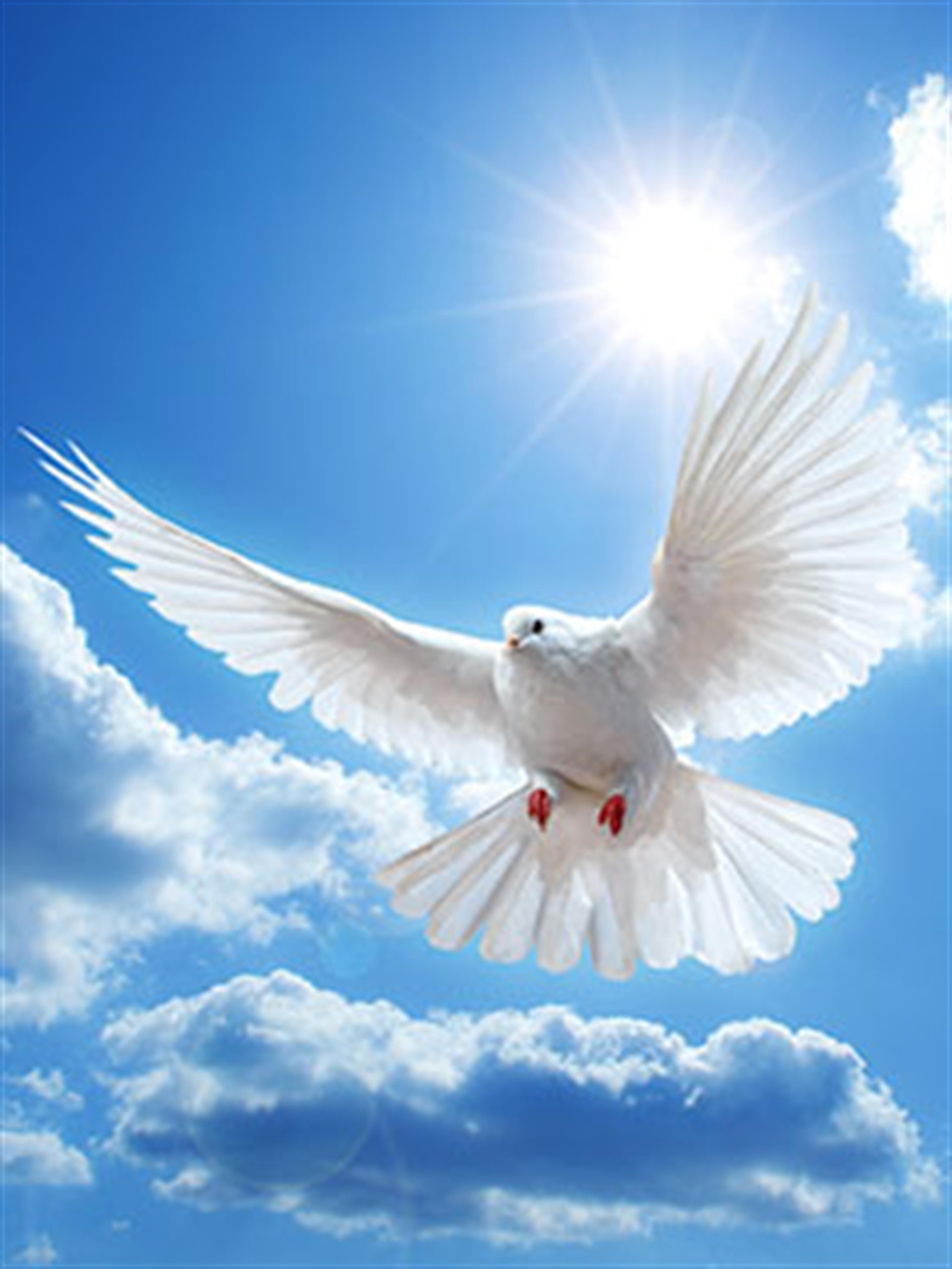 Agnes Dunaway's obituary picture