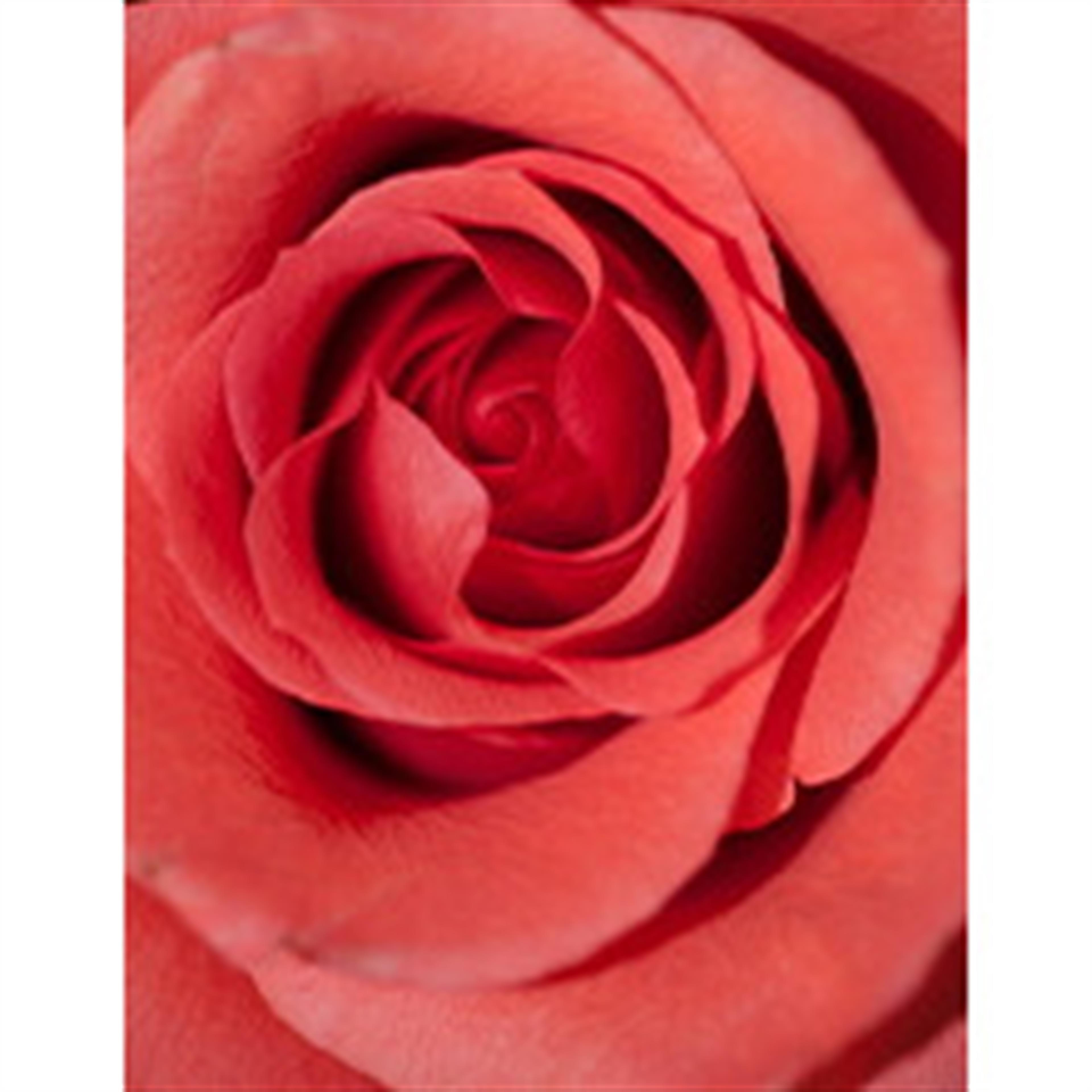 Patricia Ann Gatrel's obituary picture