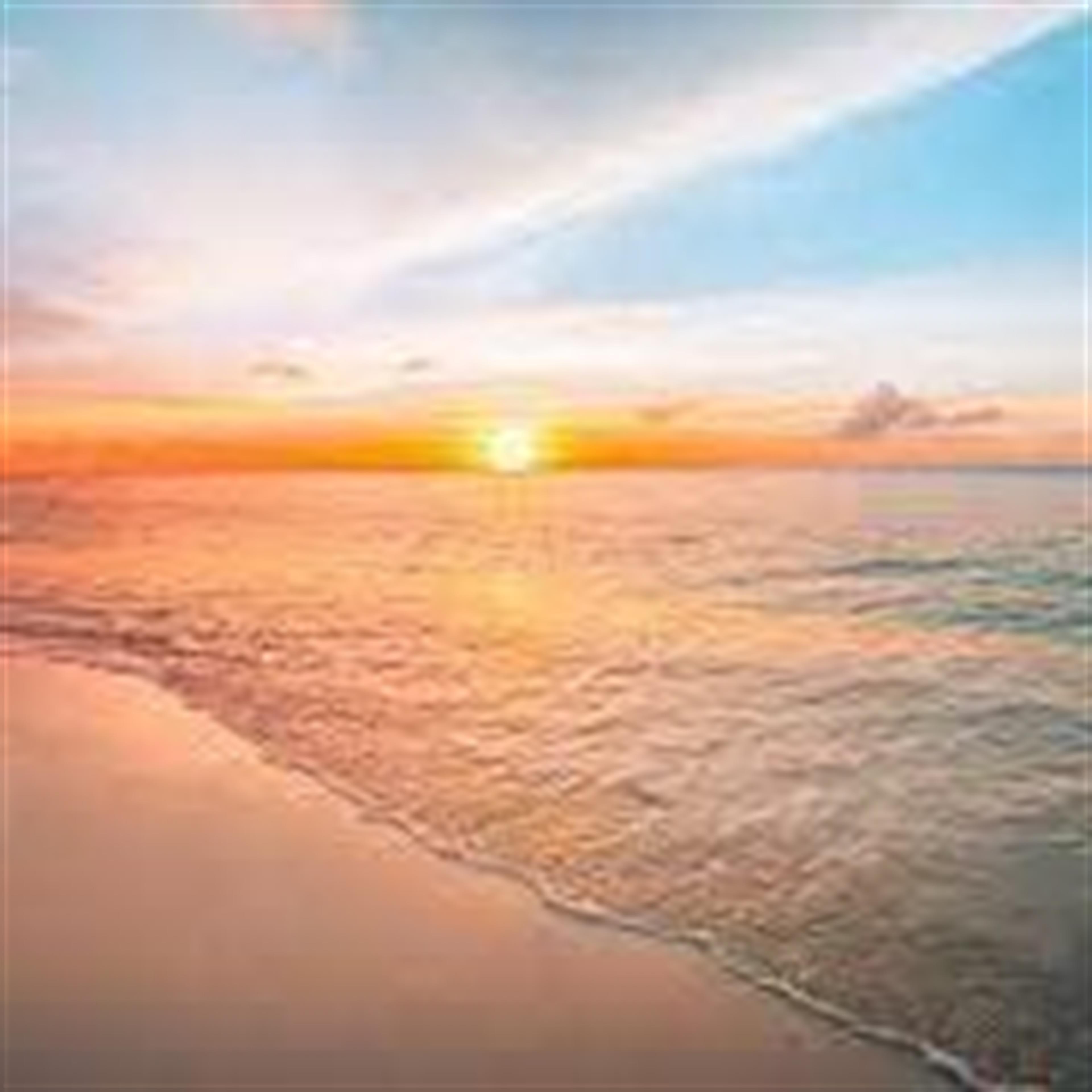 Ronald Lee Sullivan JR