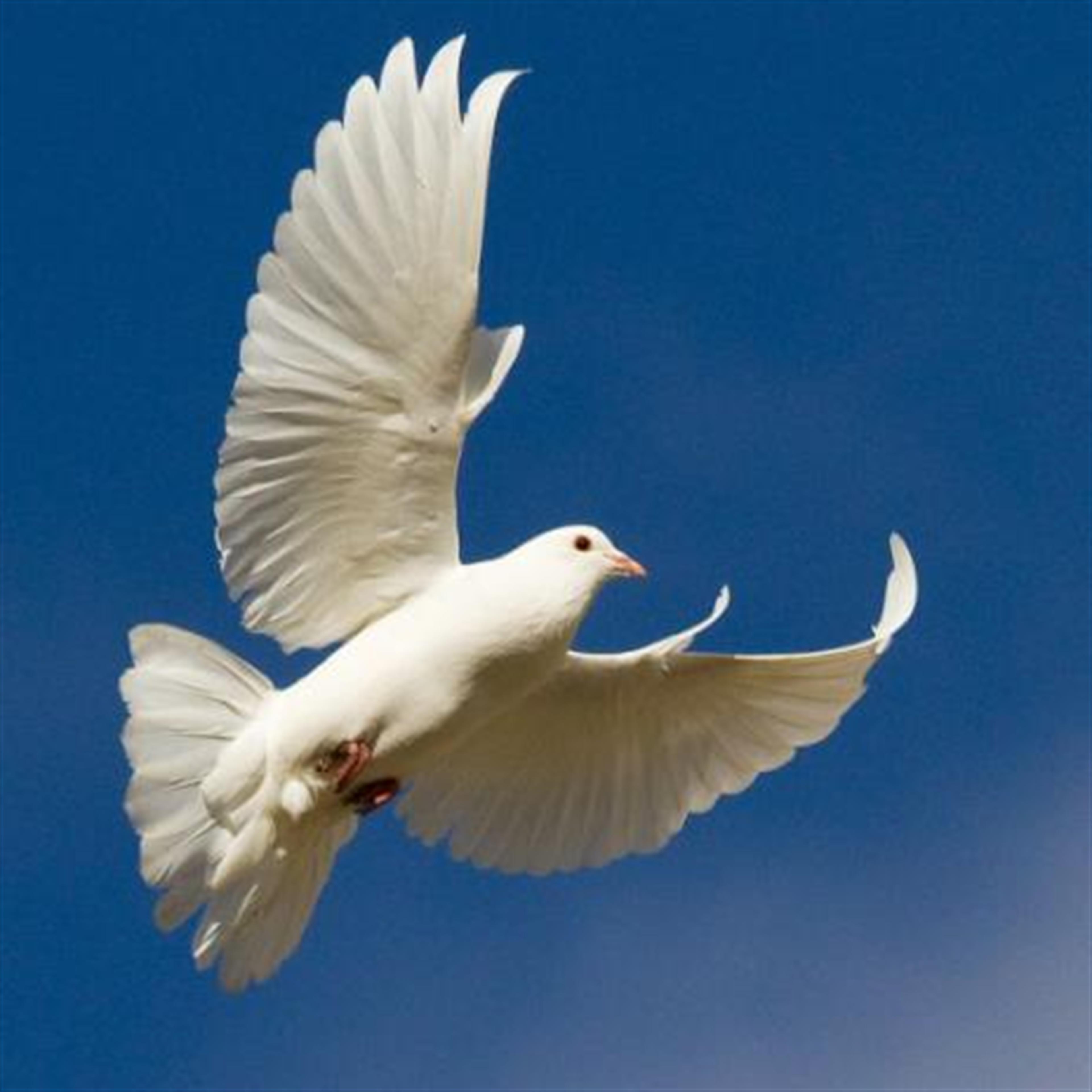 Elizabeth Nell Hughett