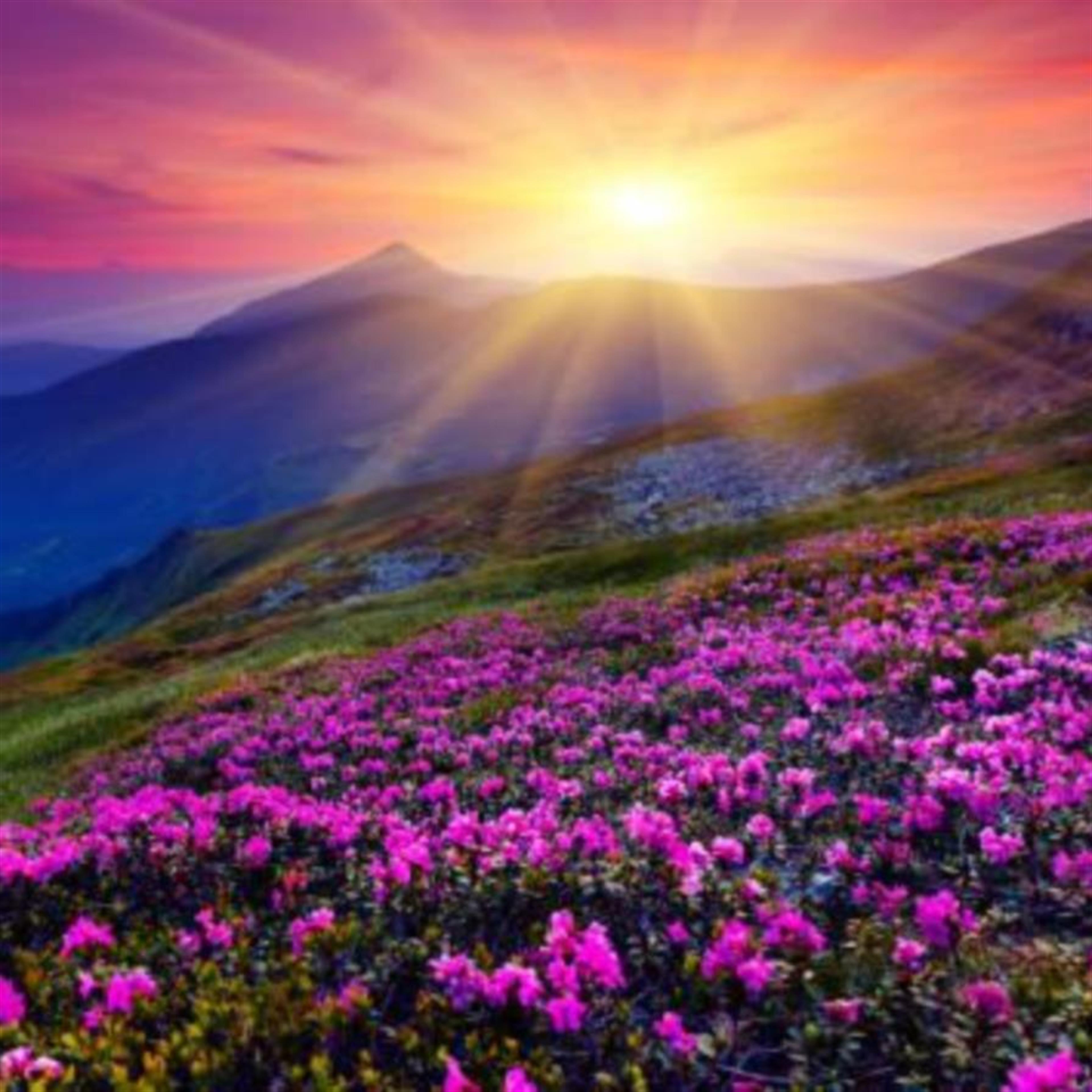 Valentina Maribel Govea