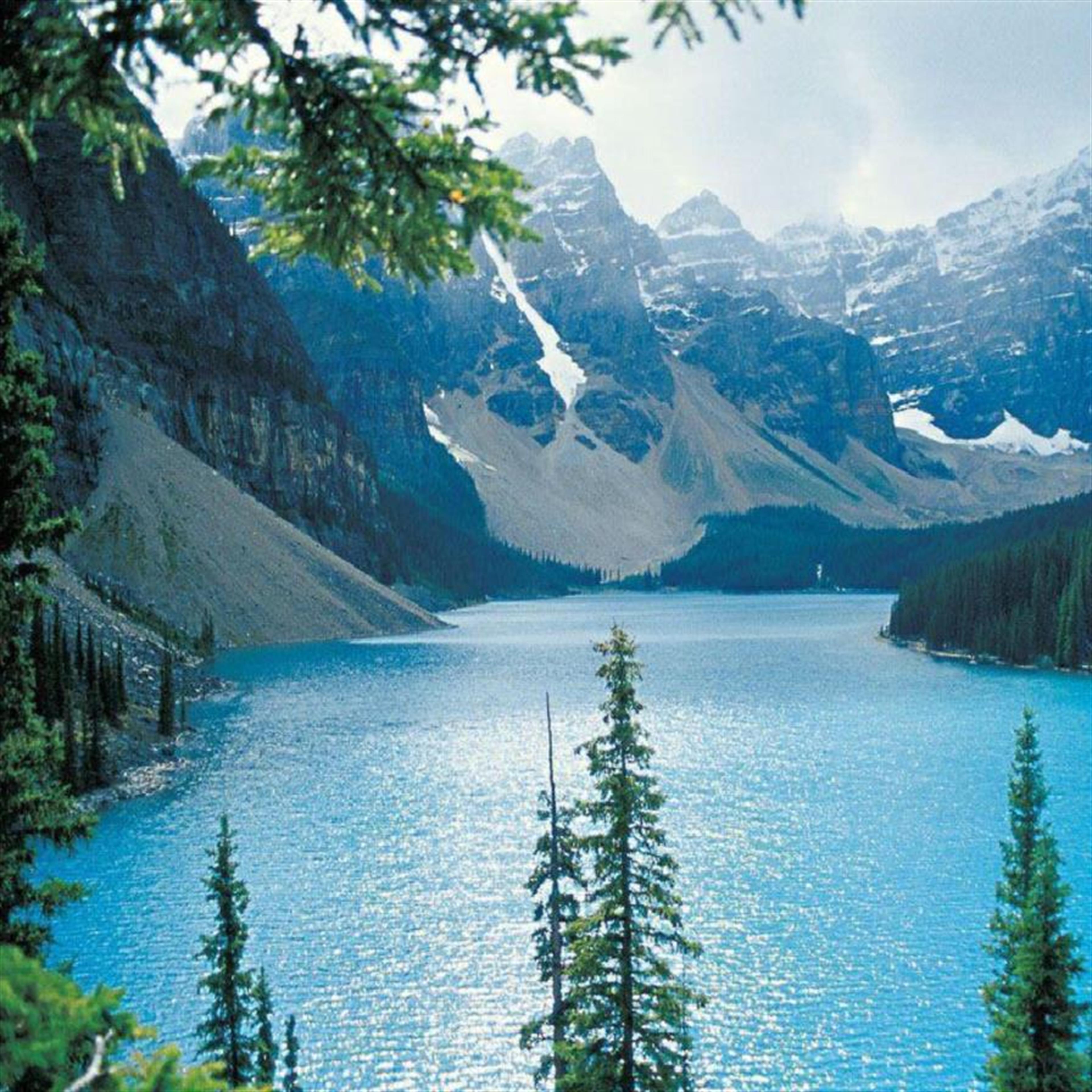 Wayne Samuel Aban's obituary picture