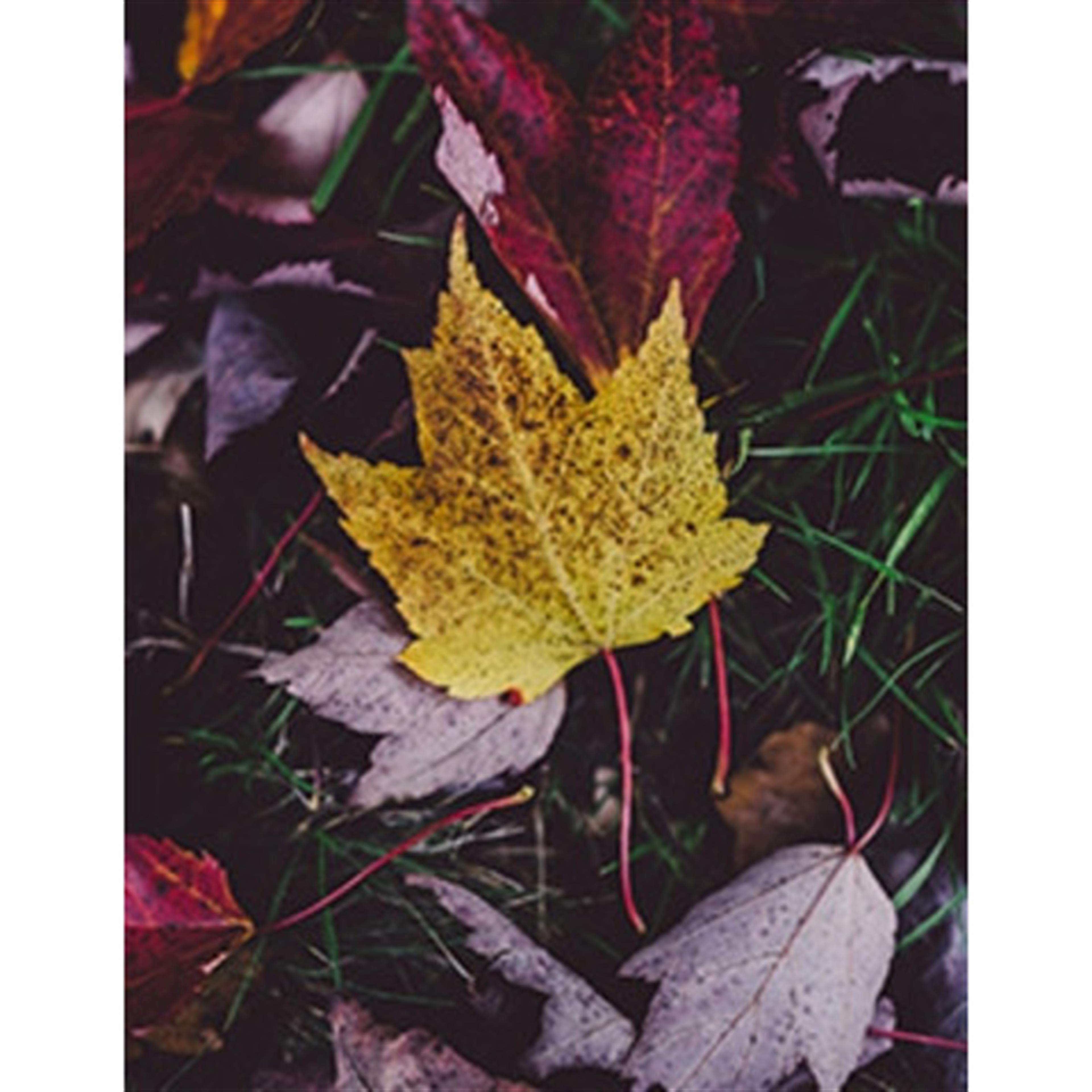 Bradley "Brad" J. Taylor