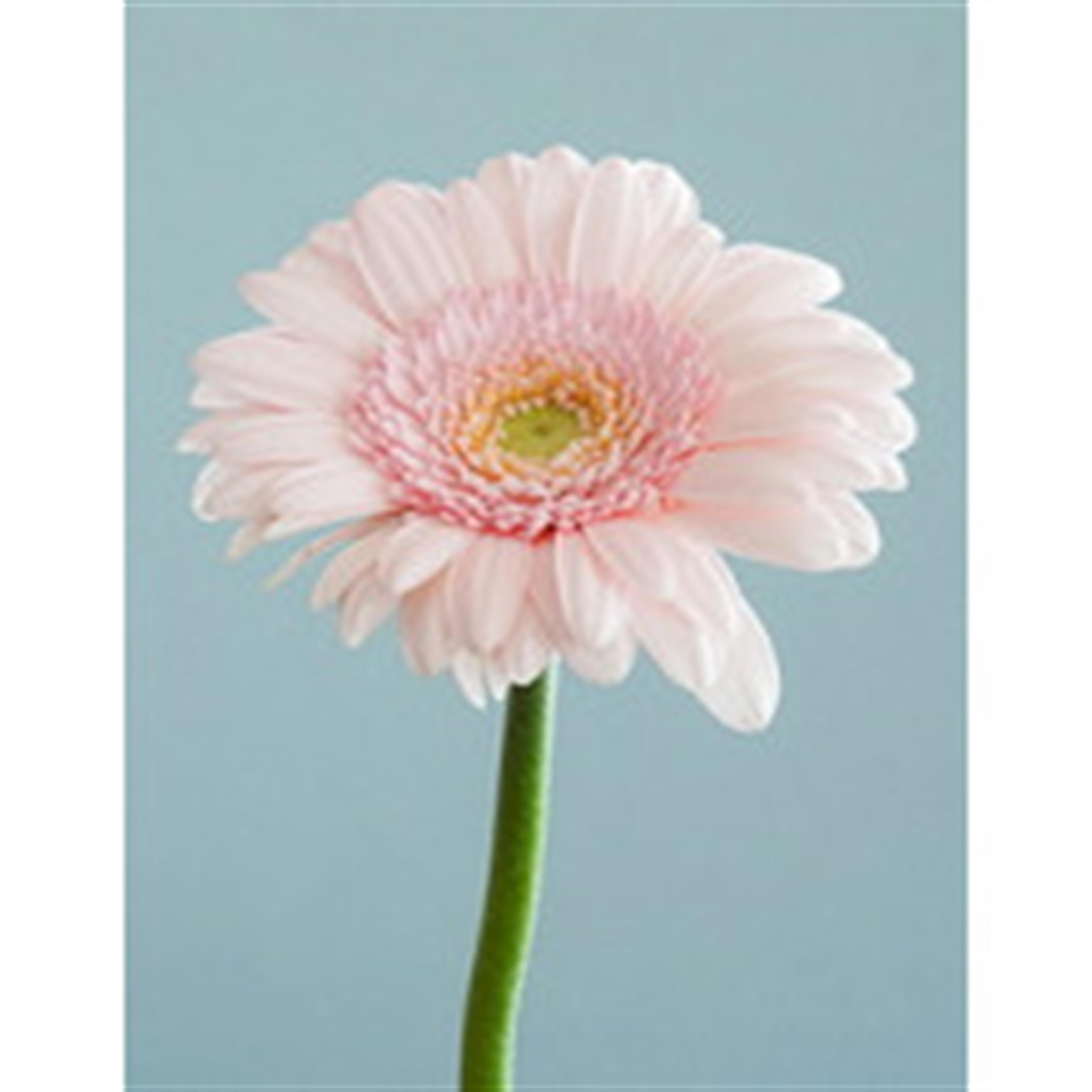 Lorene Virginia Reber's obituary picture